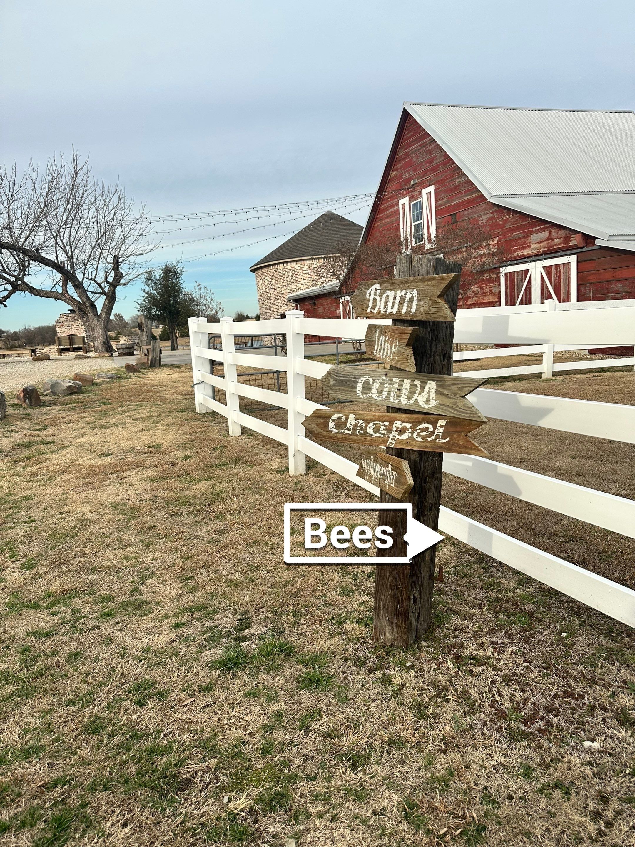 Rockwall Honey Bee Company featured photo.