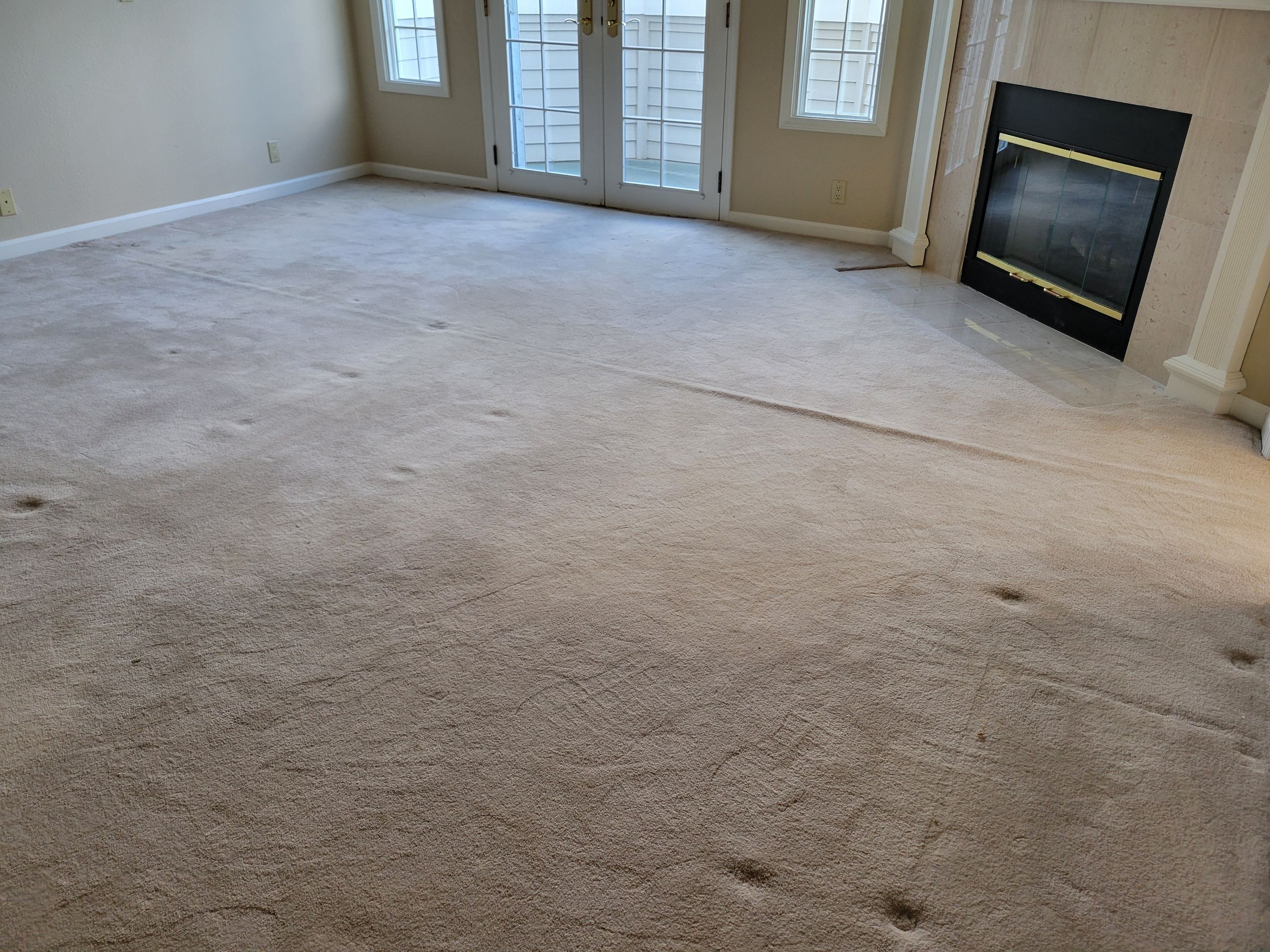 Carpet Re-stretch & Cleaning in Davis by Ardent Carpet Restore LLC