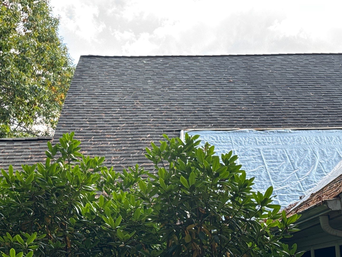"Lightning-Fast Roof Replacement & Expert Flashing – Customer Delighted!" by Sensible Home Solutions