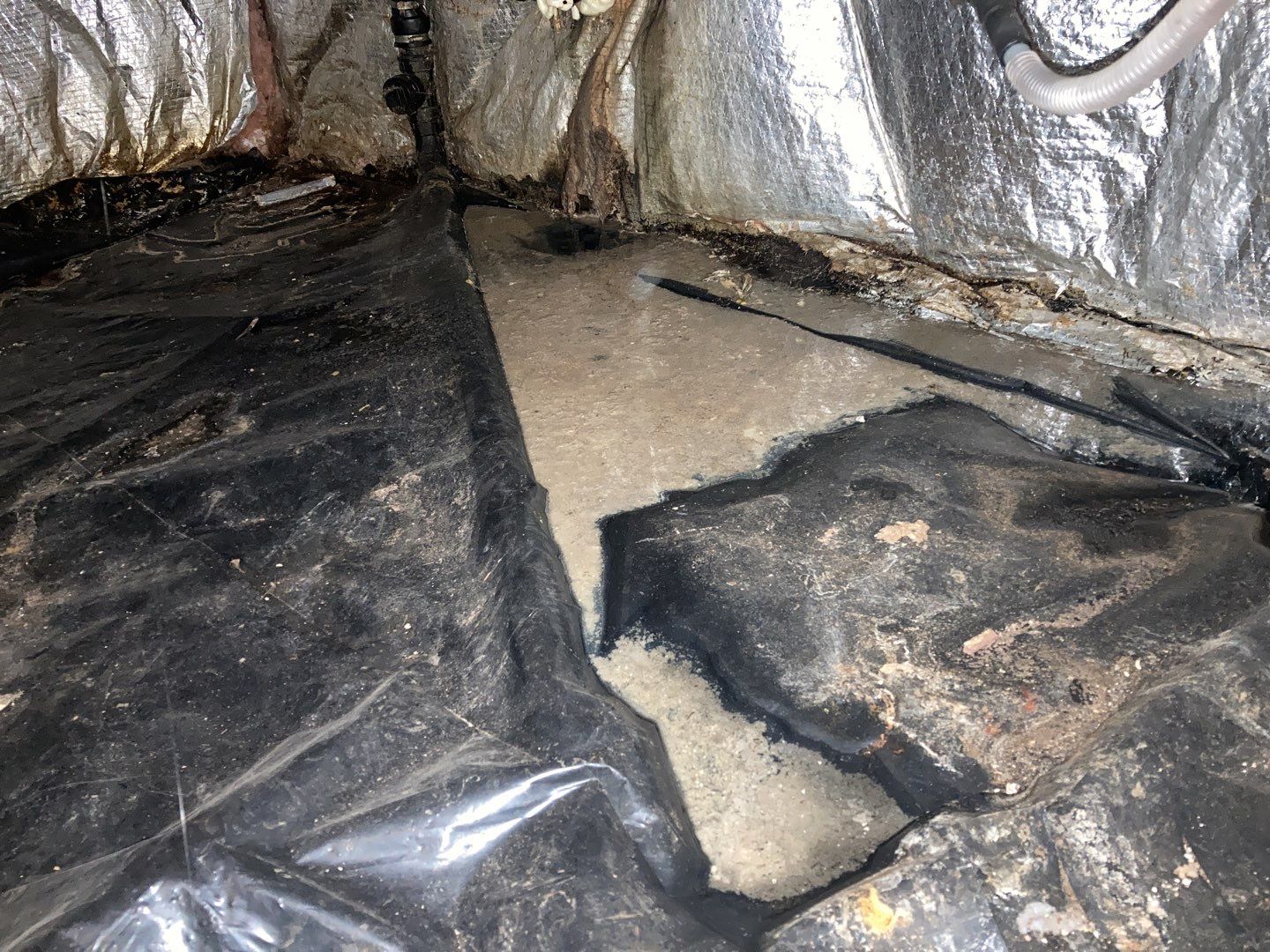 Crawl Space Cleanup  by Accountable Home Services
