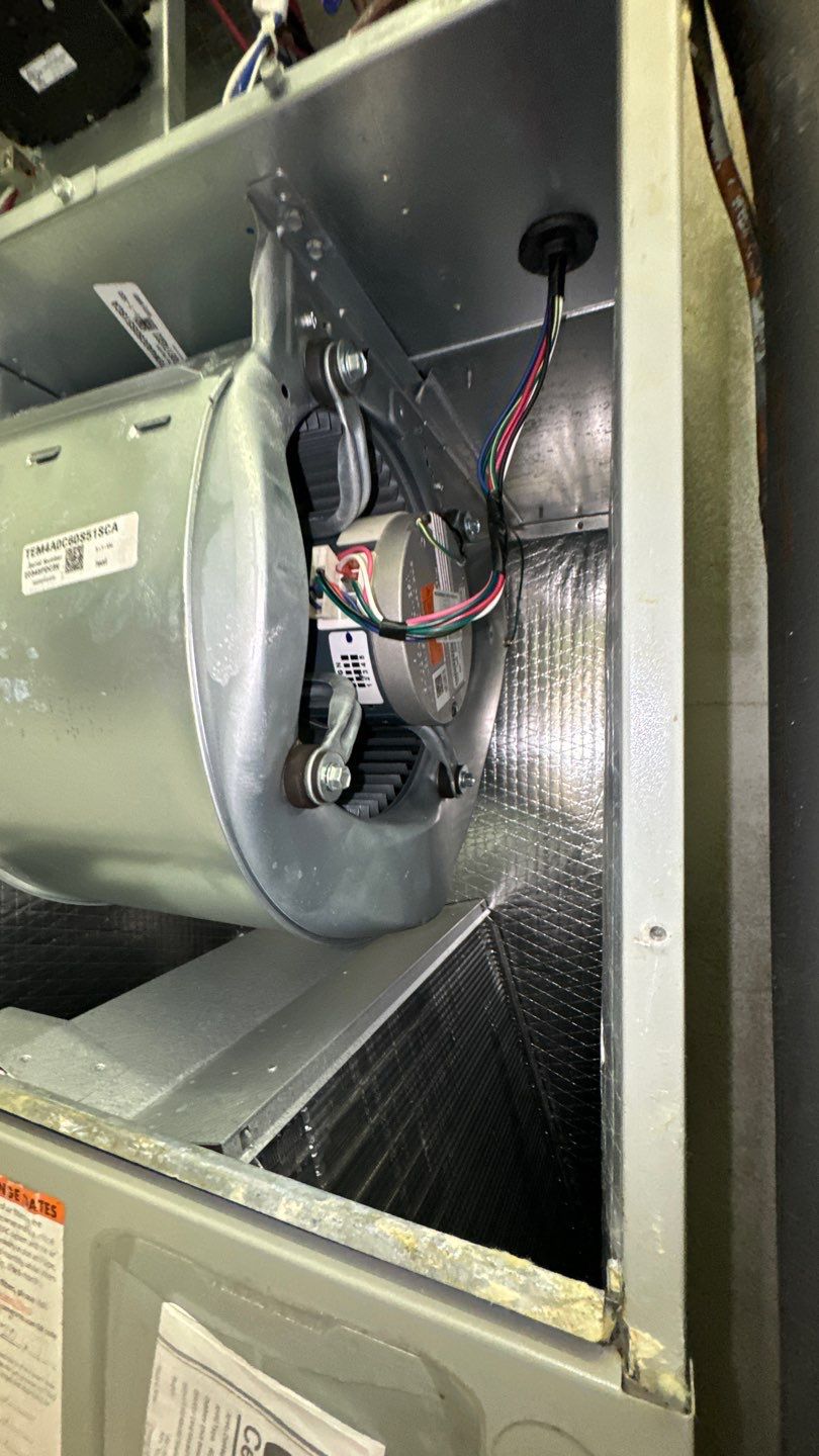 Commercial Air Duct Cleaning in Clermont by Hygienic Air, Inc