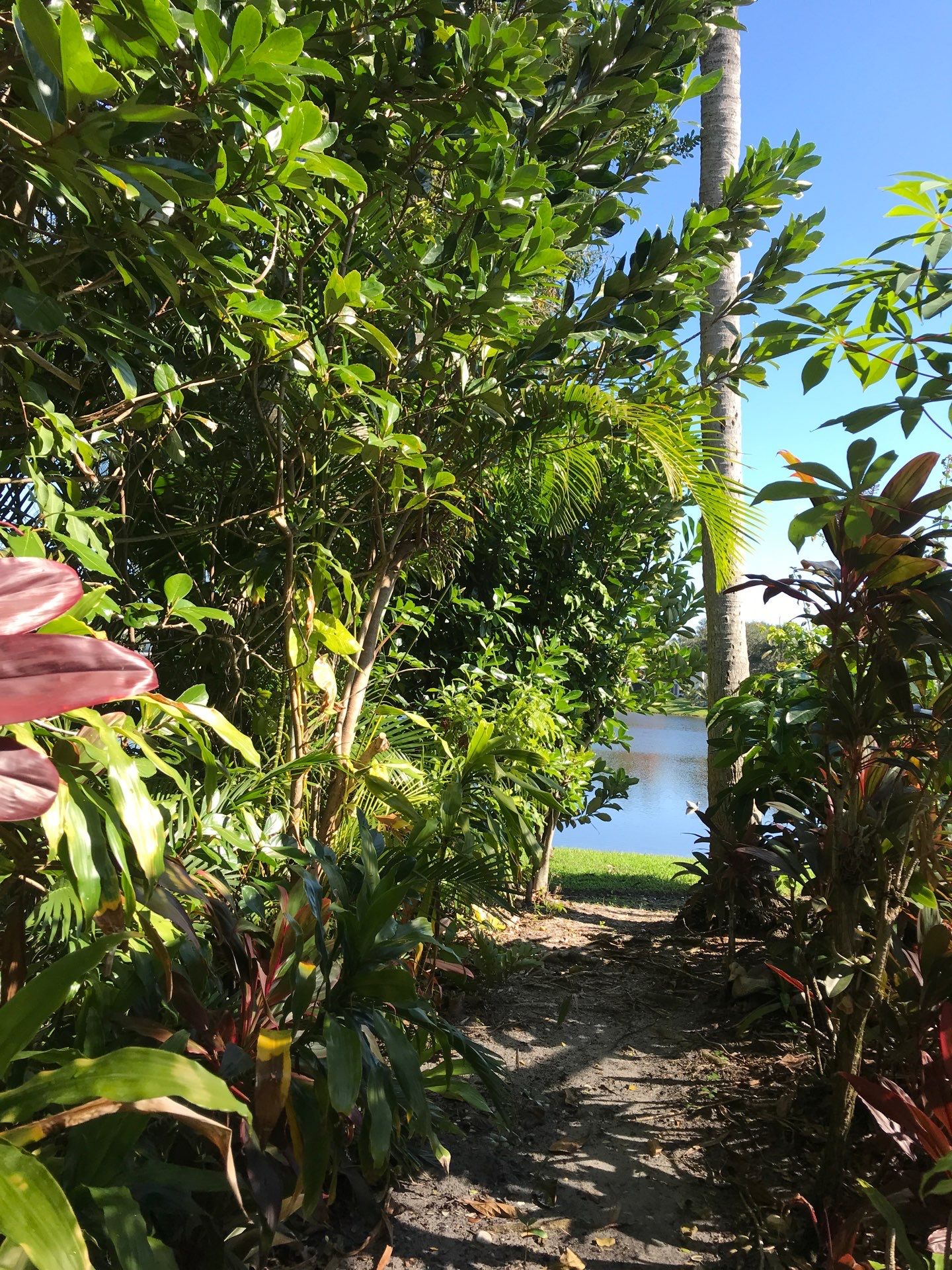 ✨ “Sweep, Spruce & Scoot!” ✨ by Alpha Zeta Enterprises Inc