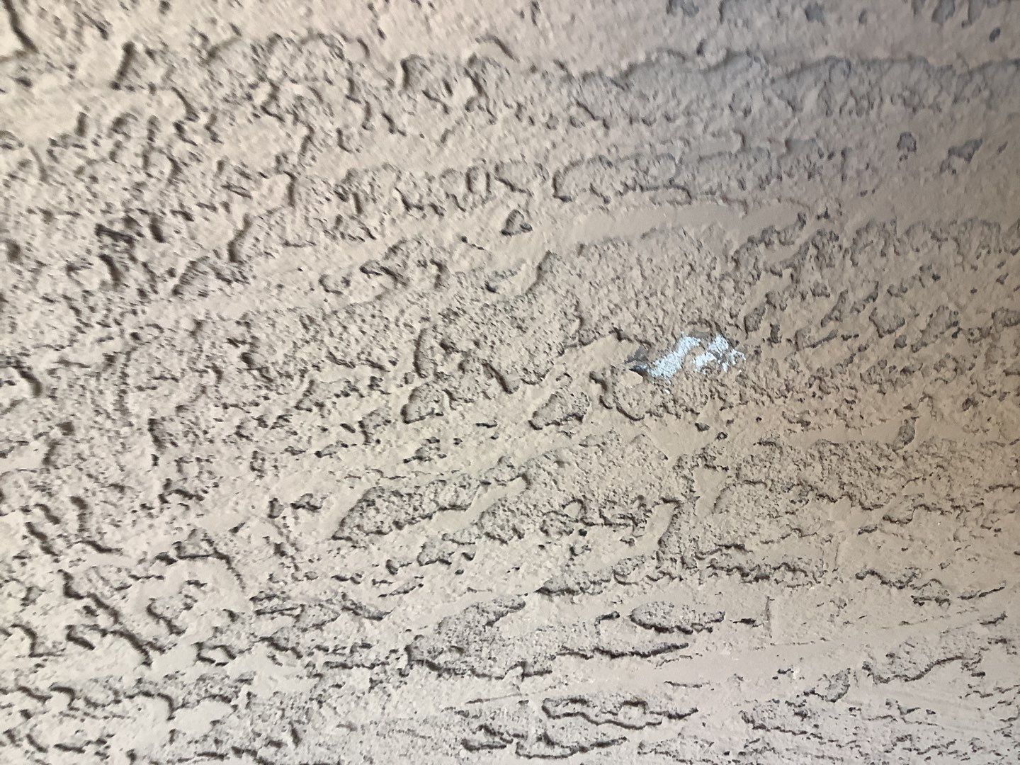 Exterior Painting - Peoria by Crash of Rhinos Painting & Garage Floors