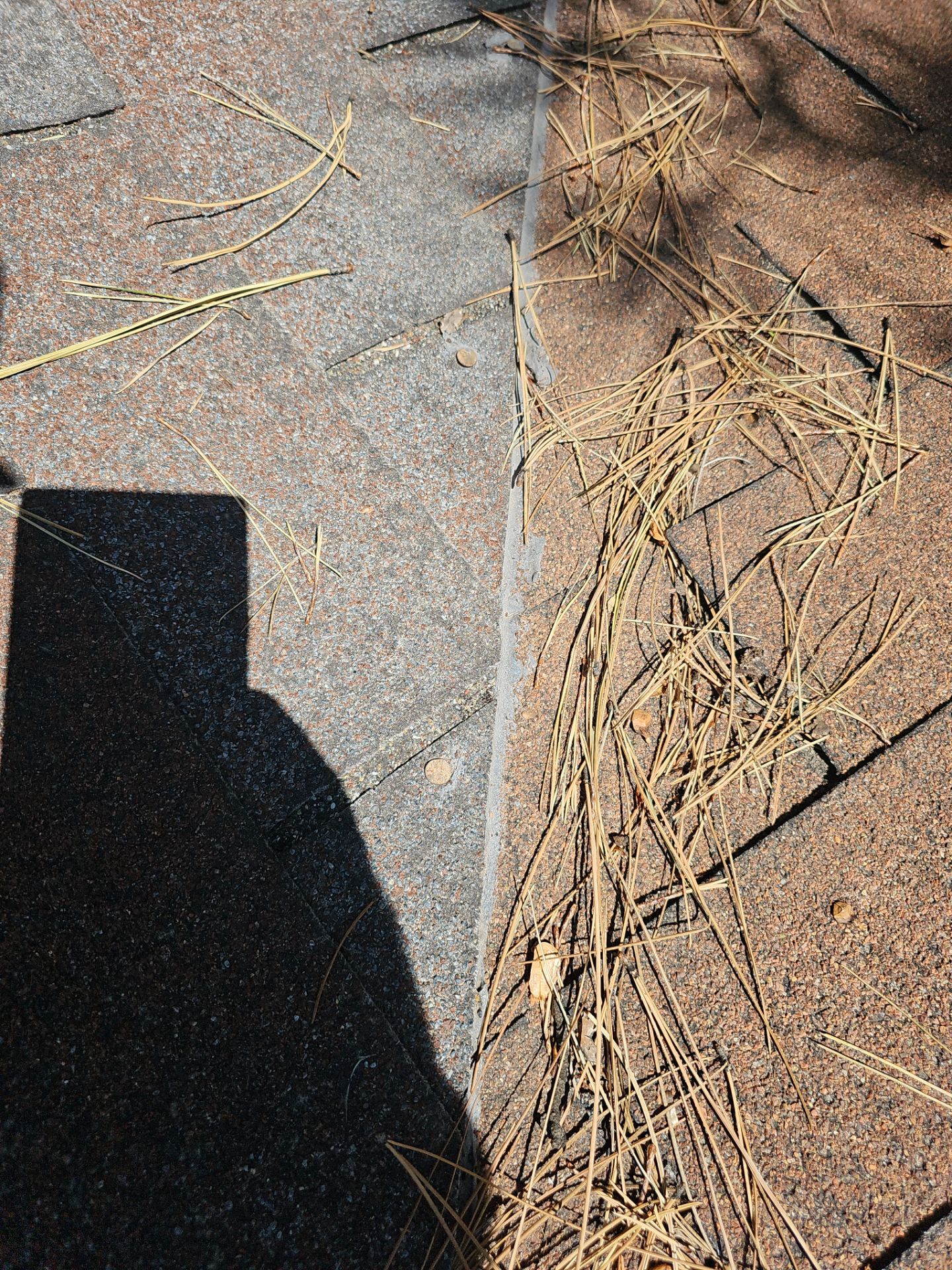 Malarkey Shingles in Arizona by Weather-Tite Exteriors LLC