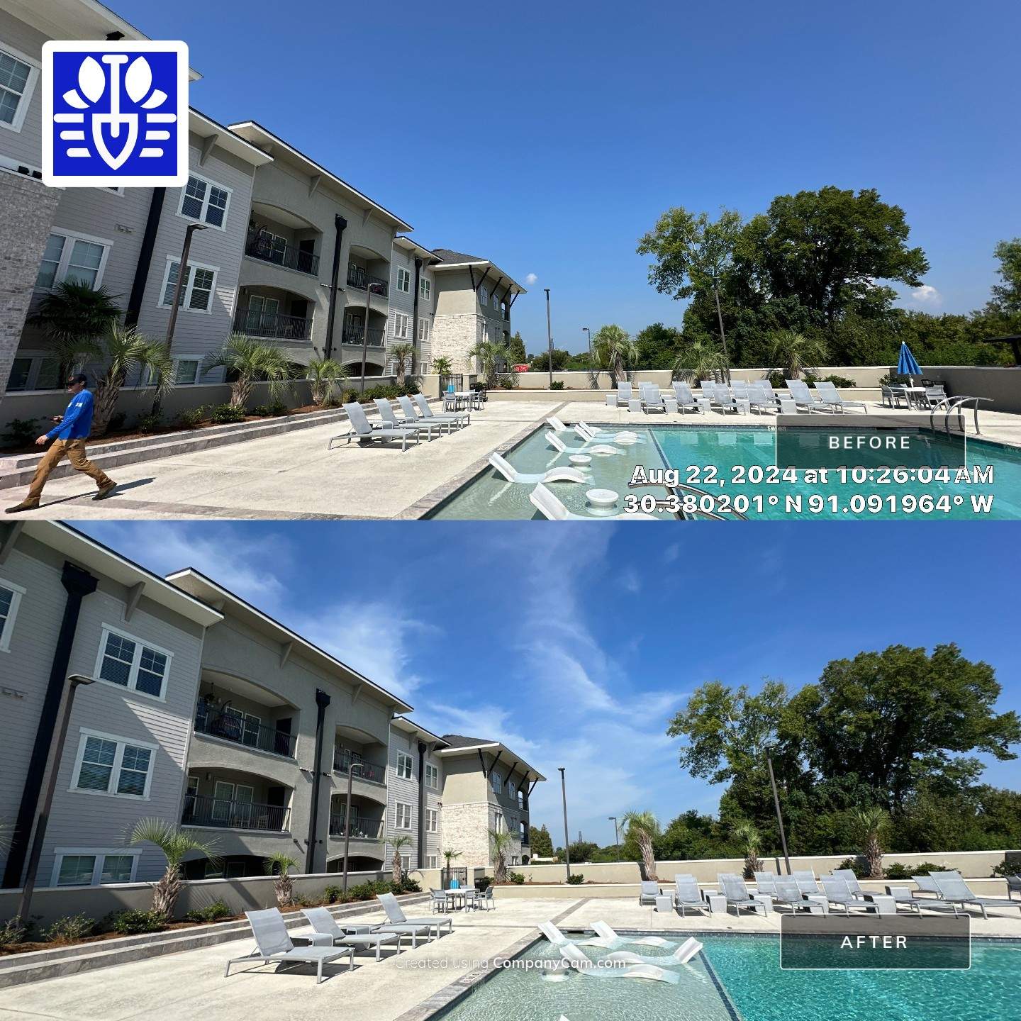 COMMERCIAL LAWN MAINTENANCE: HEDGE TRIM / BED CLEAN by CutScape, LLC.