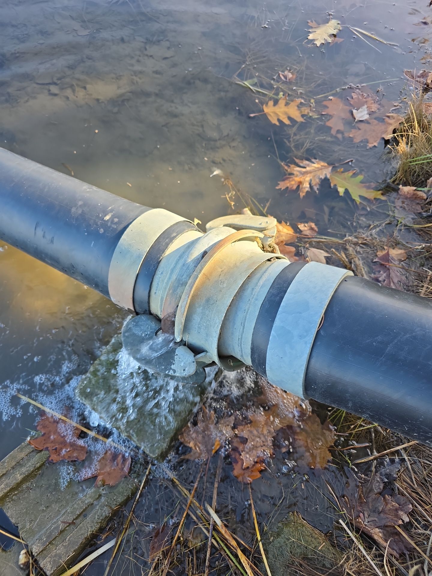 Total Quality Horticultural Solutions LLC featured photo.