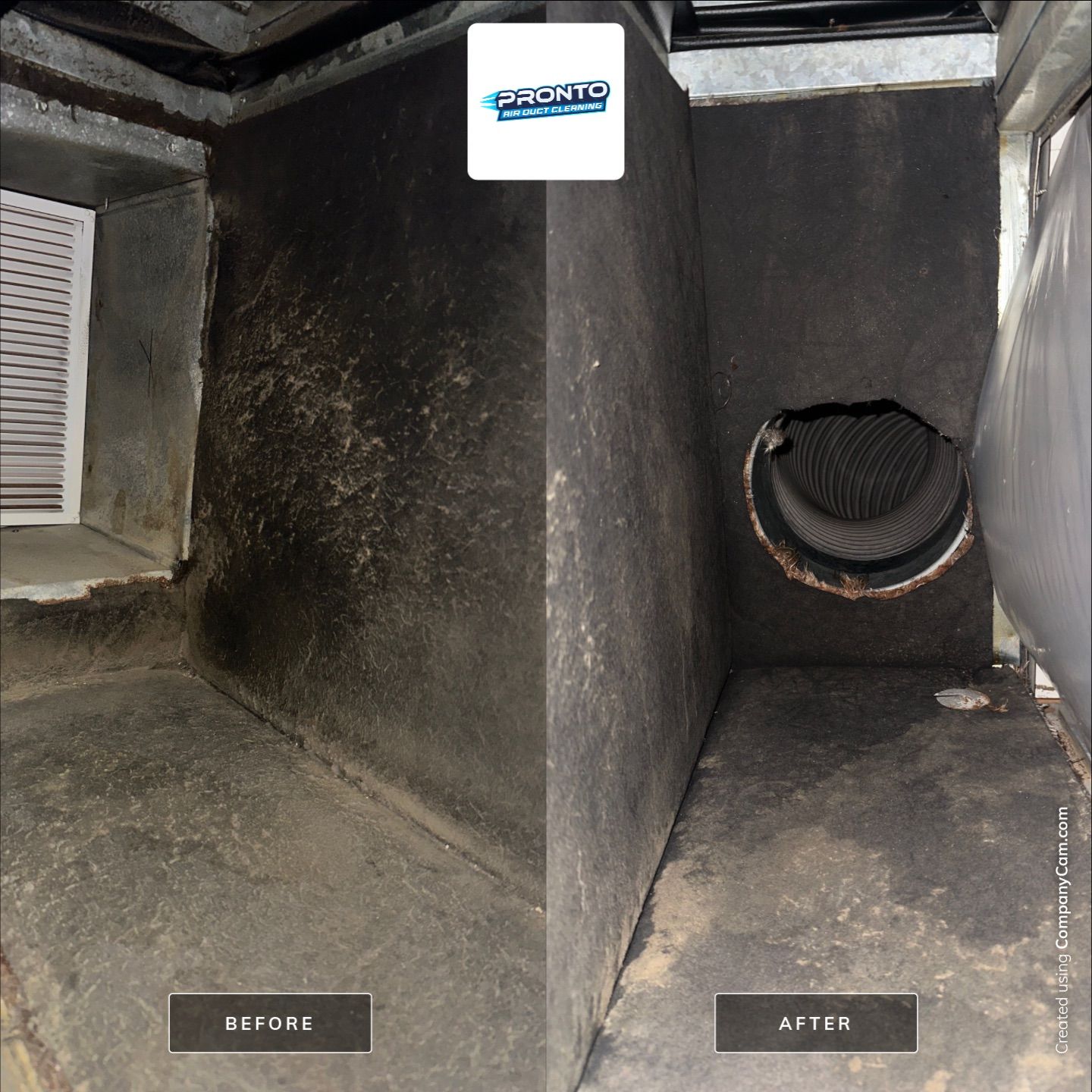 Duct Cleaning + Duct Treatment by Pronto Air Duct Cleaning