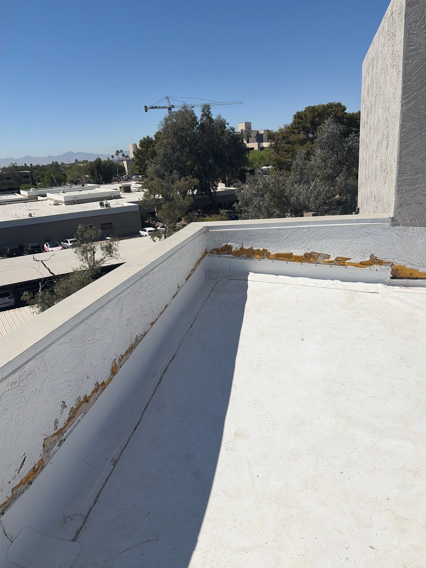 Project in Glendale by Crush Development Services LLC