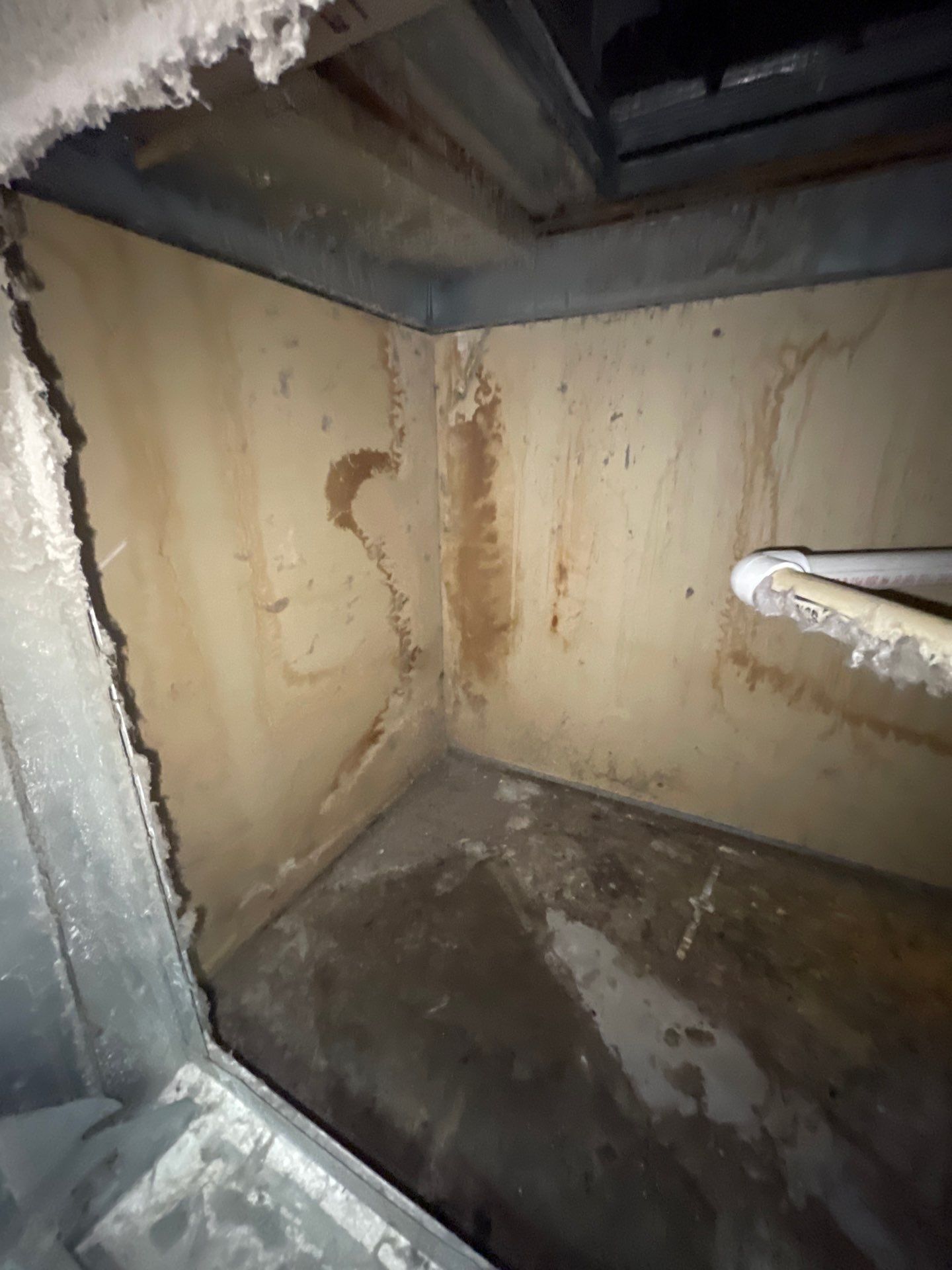 Commercial Air Duct Cleaning in Tavares by Hygienic Air, Inc