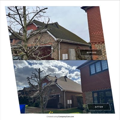 Roof Clean - Moss Removal - Gutter Clean using Honda 15lpm Low Pressure Washing Machine