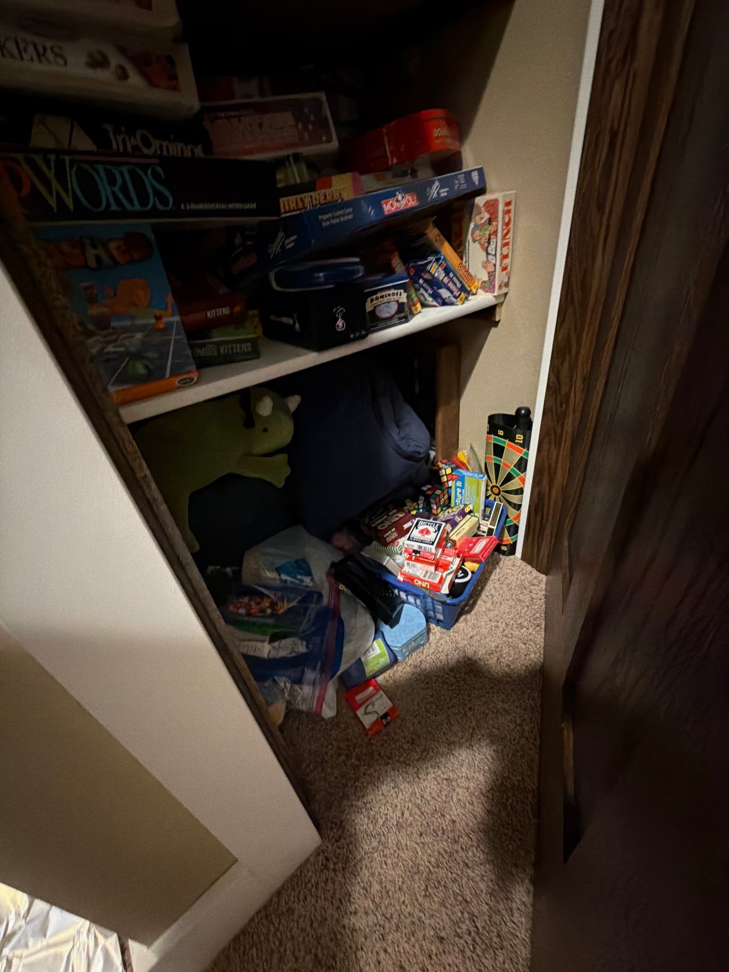 Decorative Flake Concrete Floor Coating for Larchwood Basement by Select Painting, Coatings & Garage Cabinets