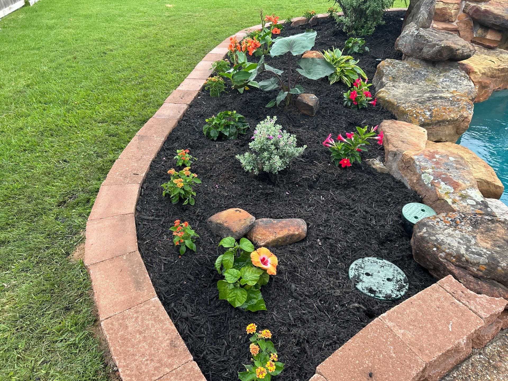 🌿 Larry Caudillo’s Poolside Landscape Revamp by Texas Urban Elements