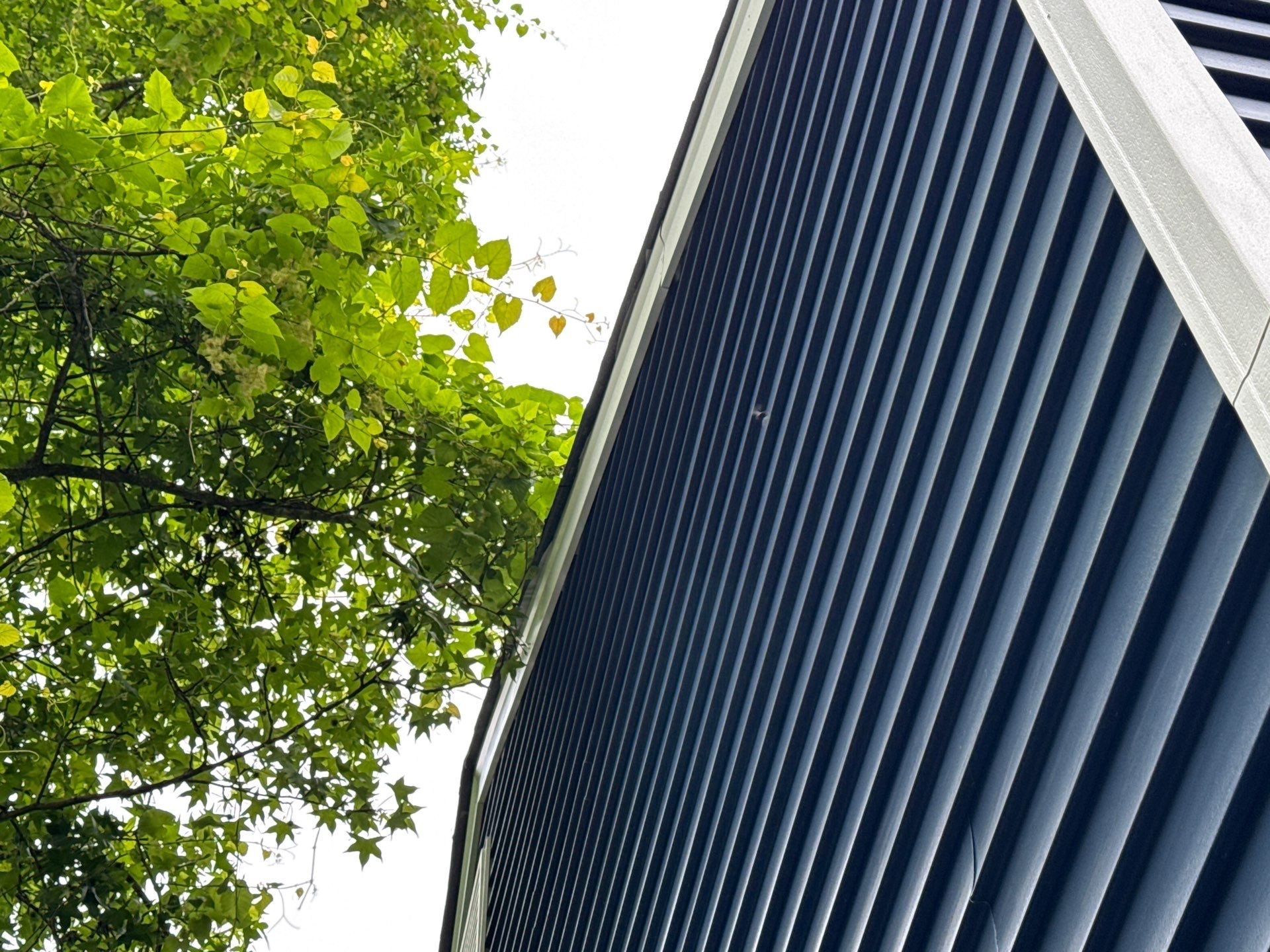Gloucester Exterior Overhaul with Navy Blue Siding and New Roof by Cade Construction