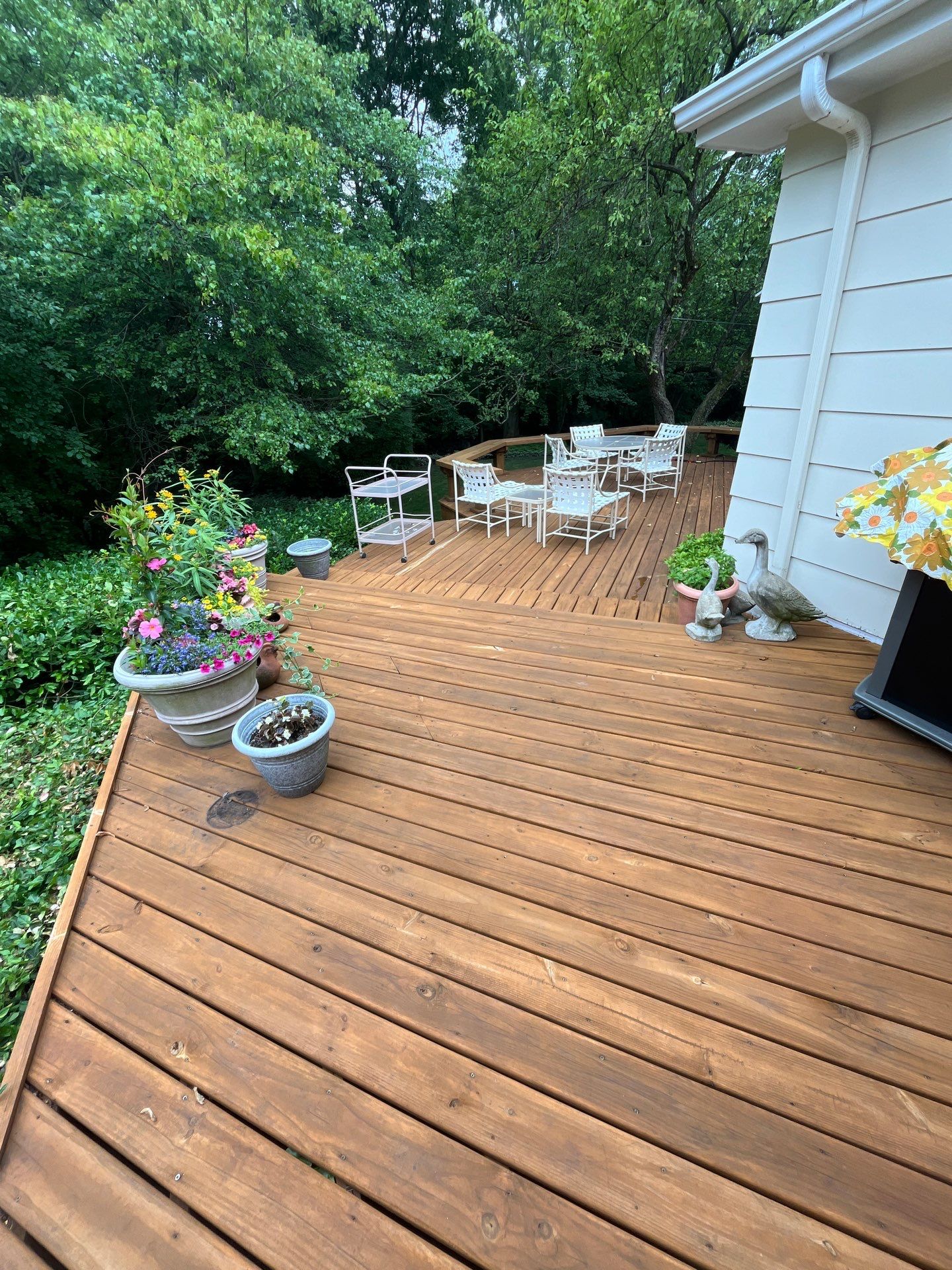 Wood cleaning and staining using Algaecide, soft wash soap by Northern Power Washing LLC.