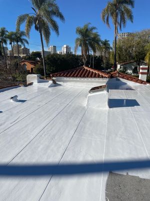 Residential Silicone Coating Project 