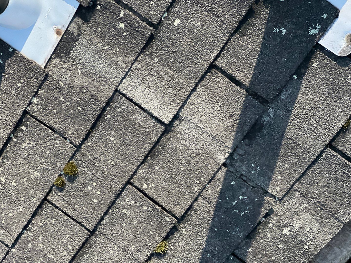 Annandale: CertainTeed Landmark Pro Designer Shingles in Max Def Charcoal Black by RM Banning, Inc.