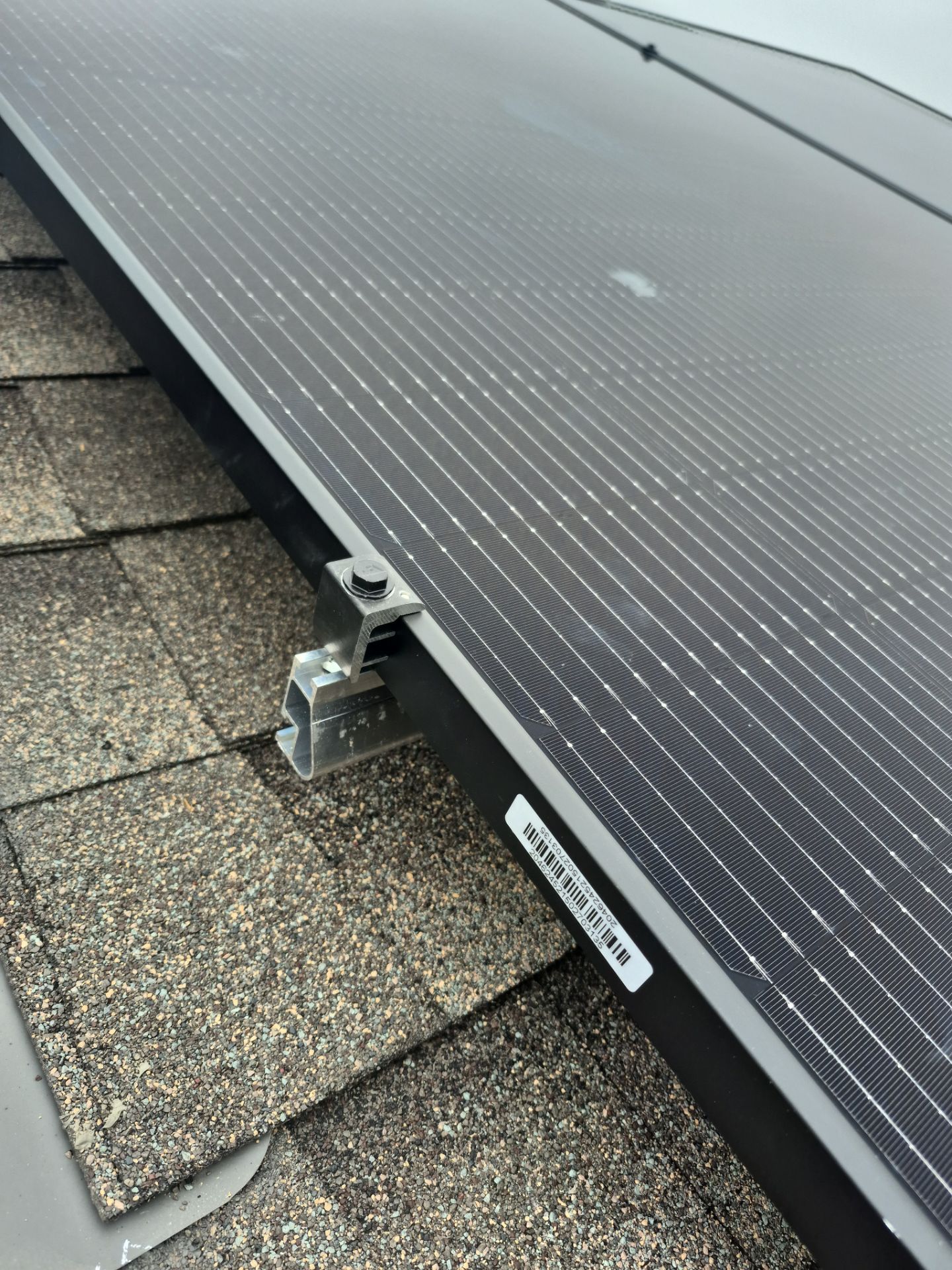 Joyce in Glenn Heights by Trojan Solar