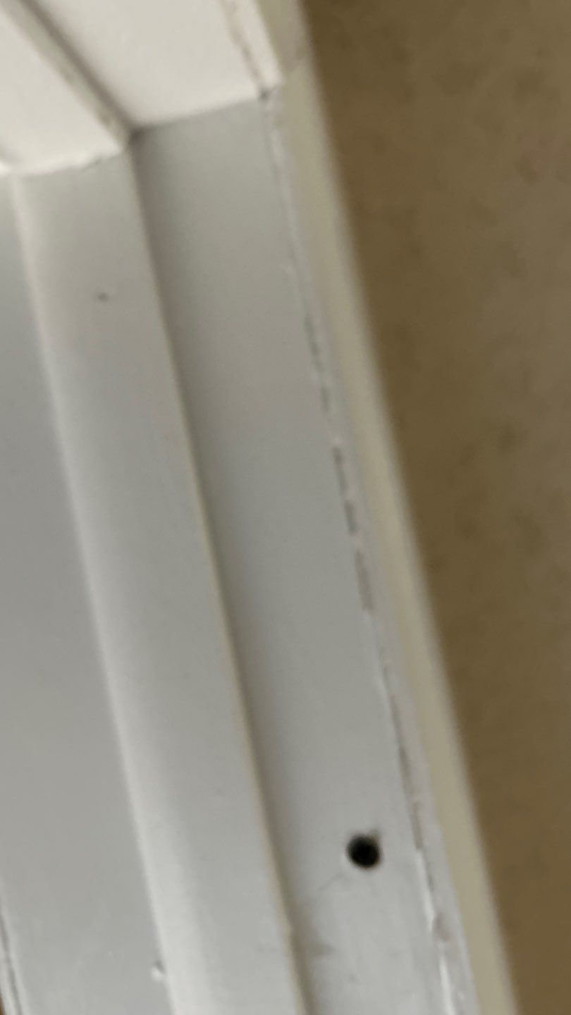 Water Damage by Accountable Home Services