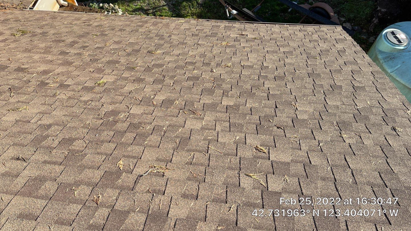 Silver Birch Shingles by Reimagine Roofing