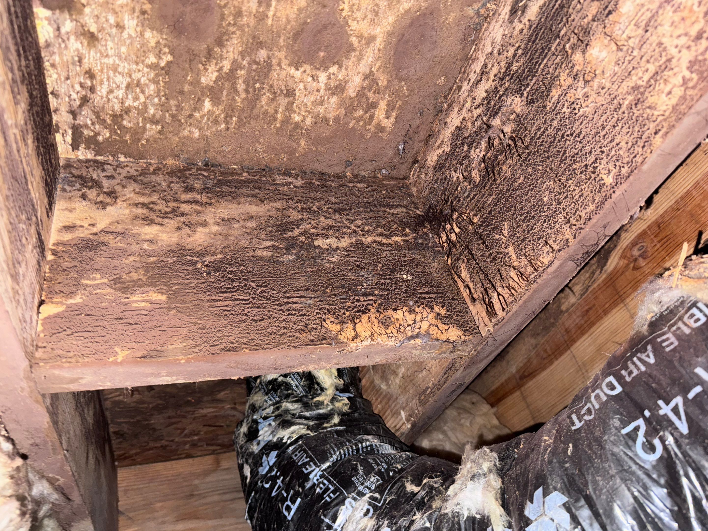 Structural Repairs inludiing sub-floor removal, new floor joists installed, girder replacmeent and dropped girder installed. by Impact Crawlspace