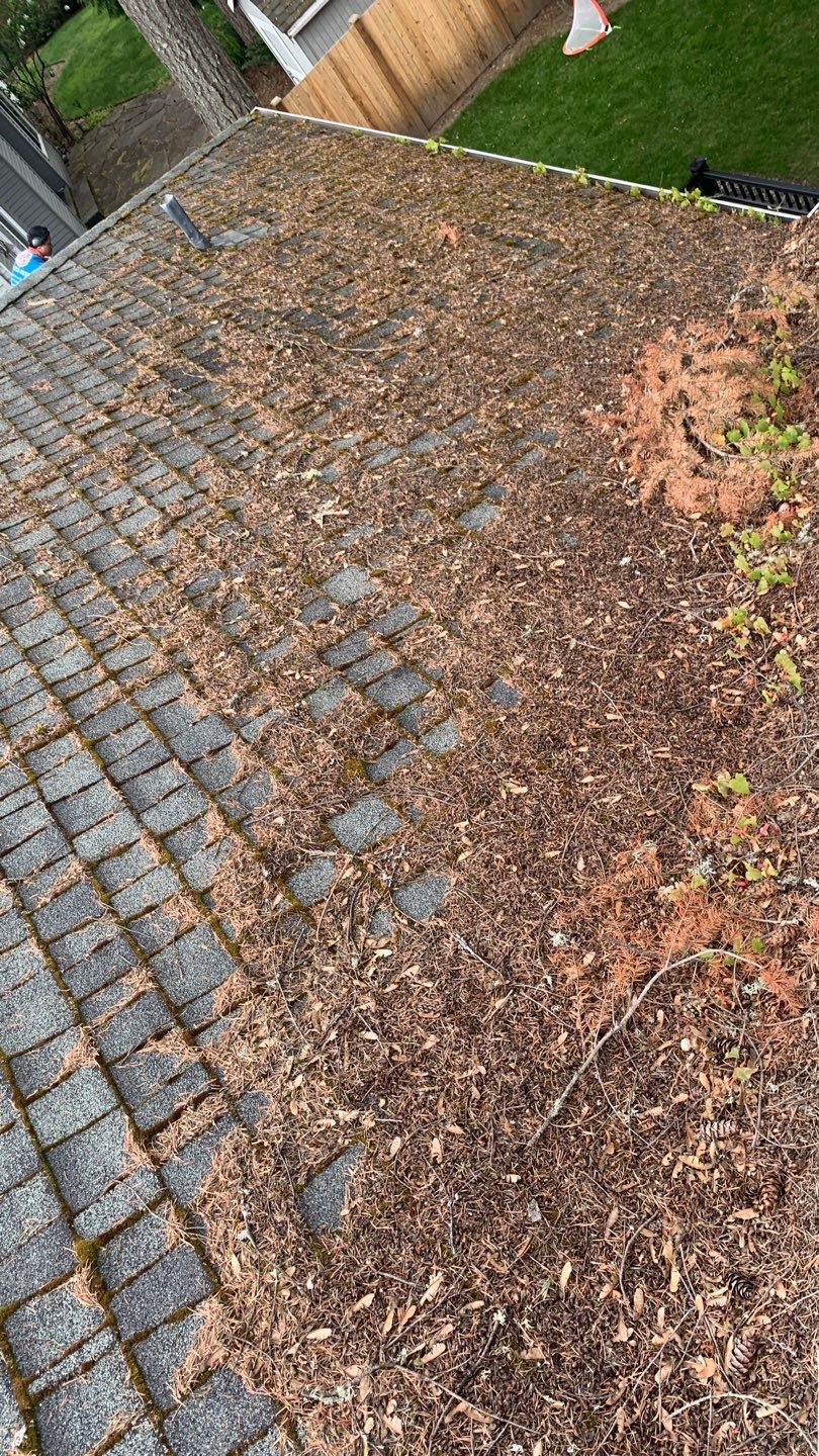 Softwashed in many Years back, and organic regrowth significant by DawnSky LLC