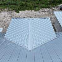 24ga 1" Nail-Strip Mill Finish by Total Roofing System The Metal Roof Experts
