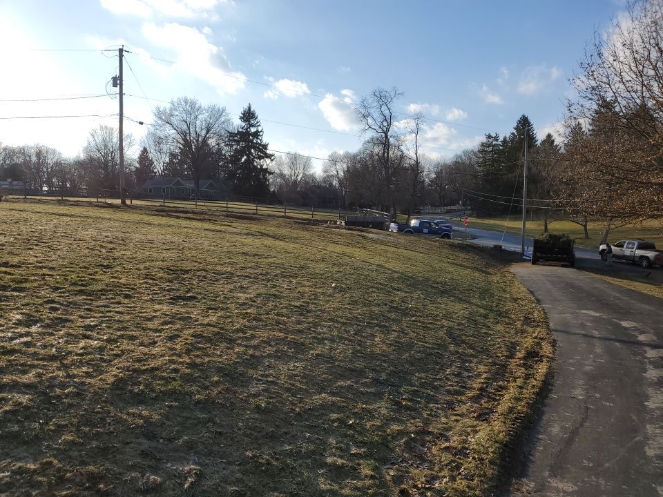 Tree Removal using Tree Removal by Mike Jones & Sons Tree Service LLC 