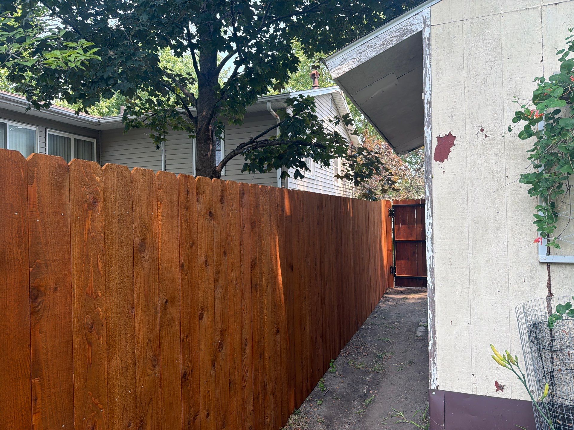 Pecan Cedar Privacy Fence Installation with Scalloped Top in Cedar Falls by Perfect Picket Fence and Stain