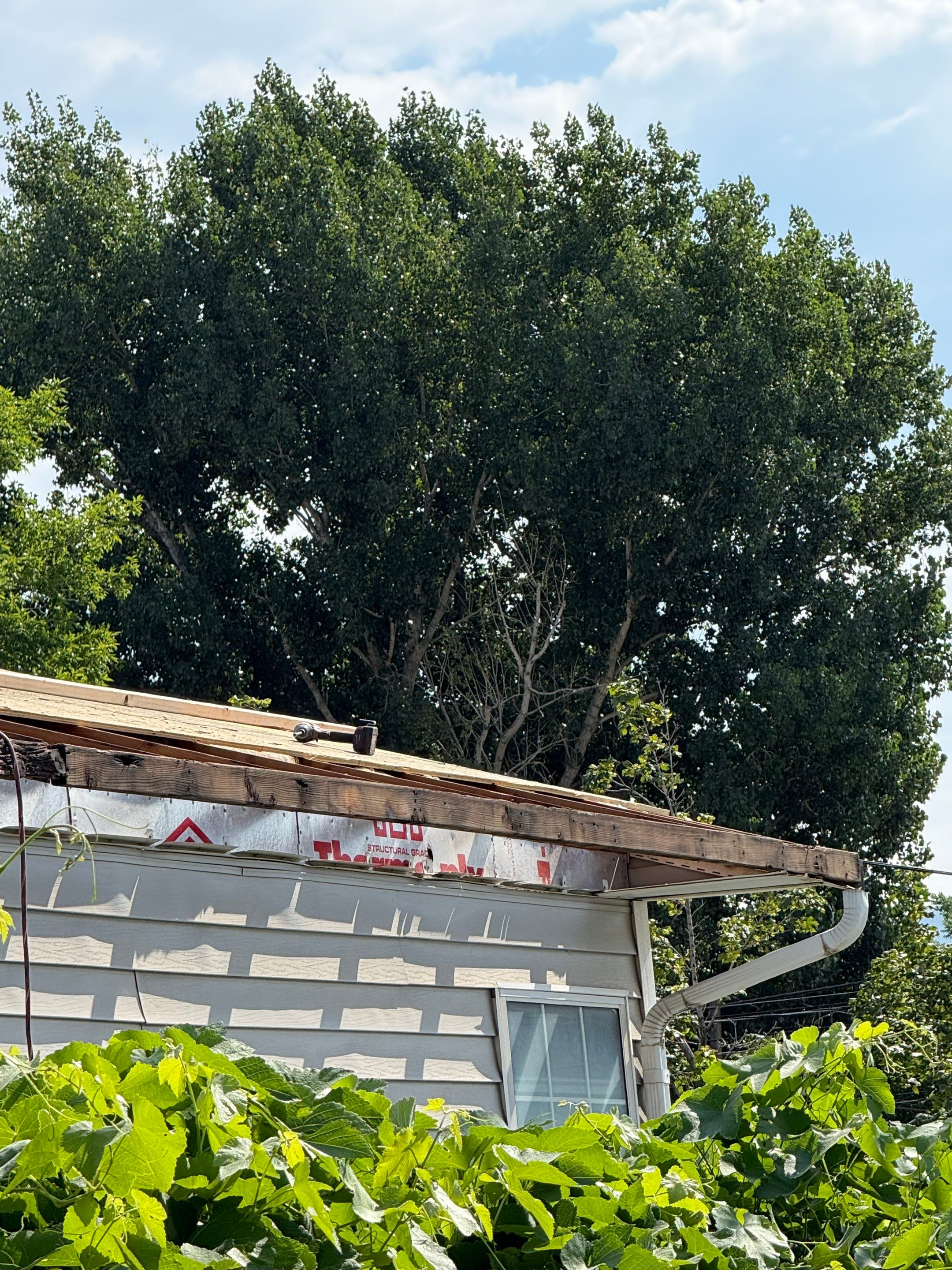 Roofing in Spanish Fork, UT by Go Pro Roofing