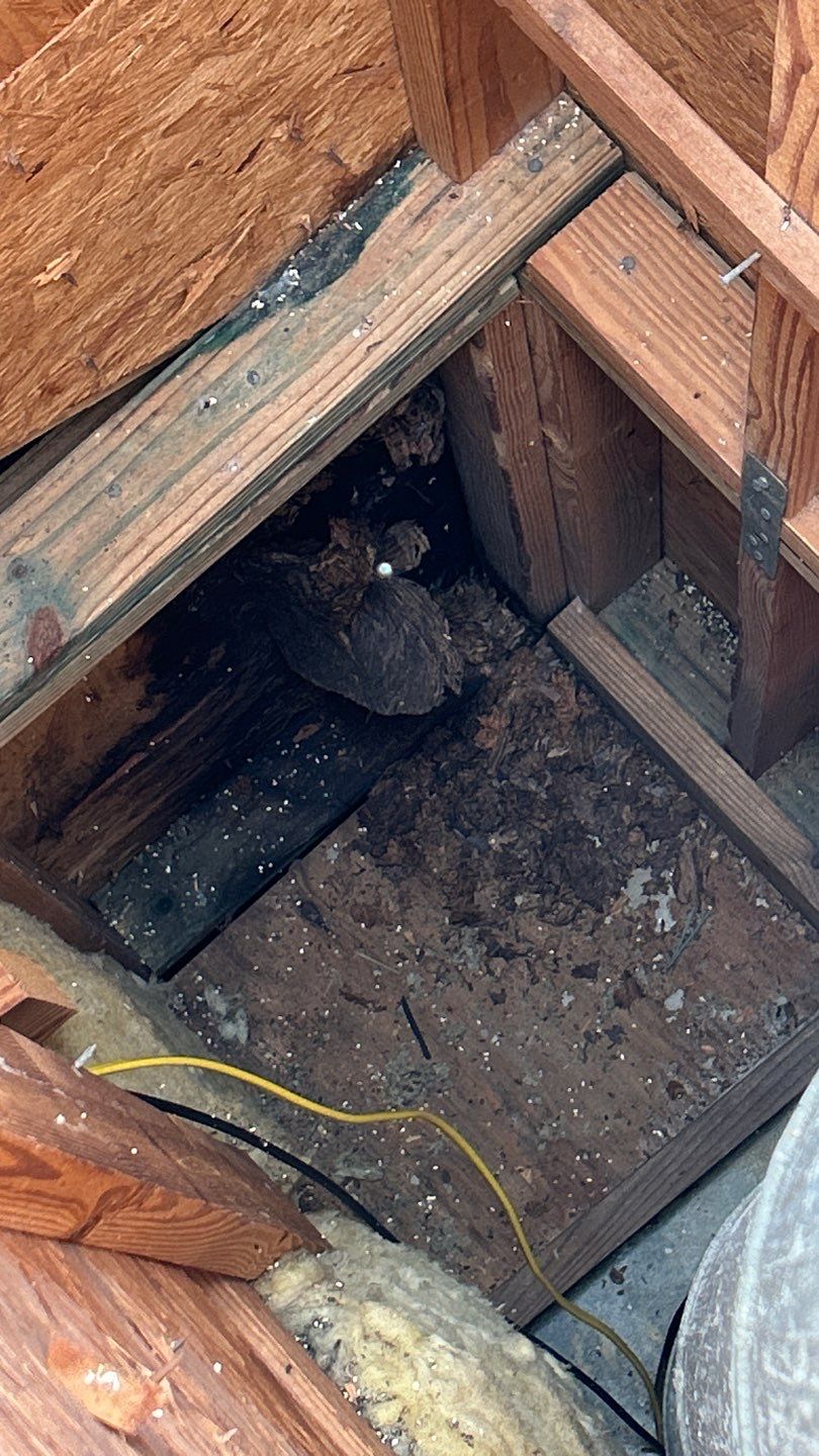 Chimney Cap & Chase Replacement using Galvanized Chimney Cap & Chase by Lighthouse Roofing