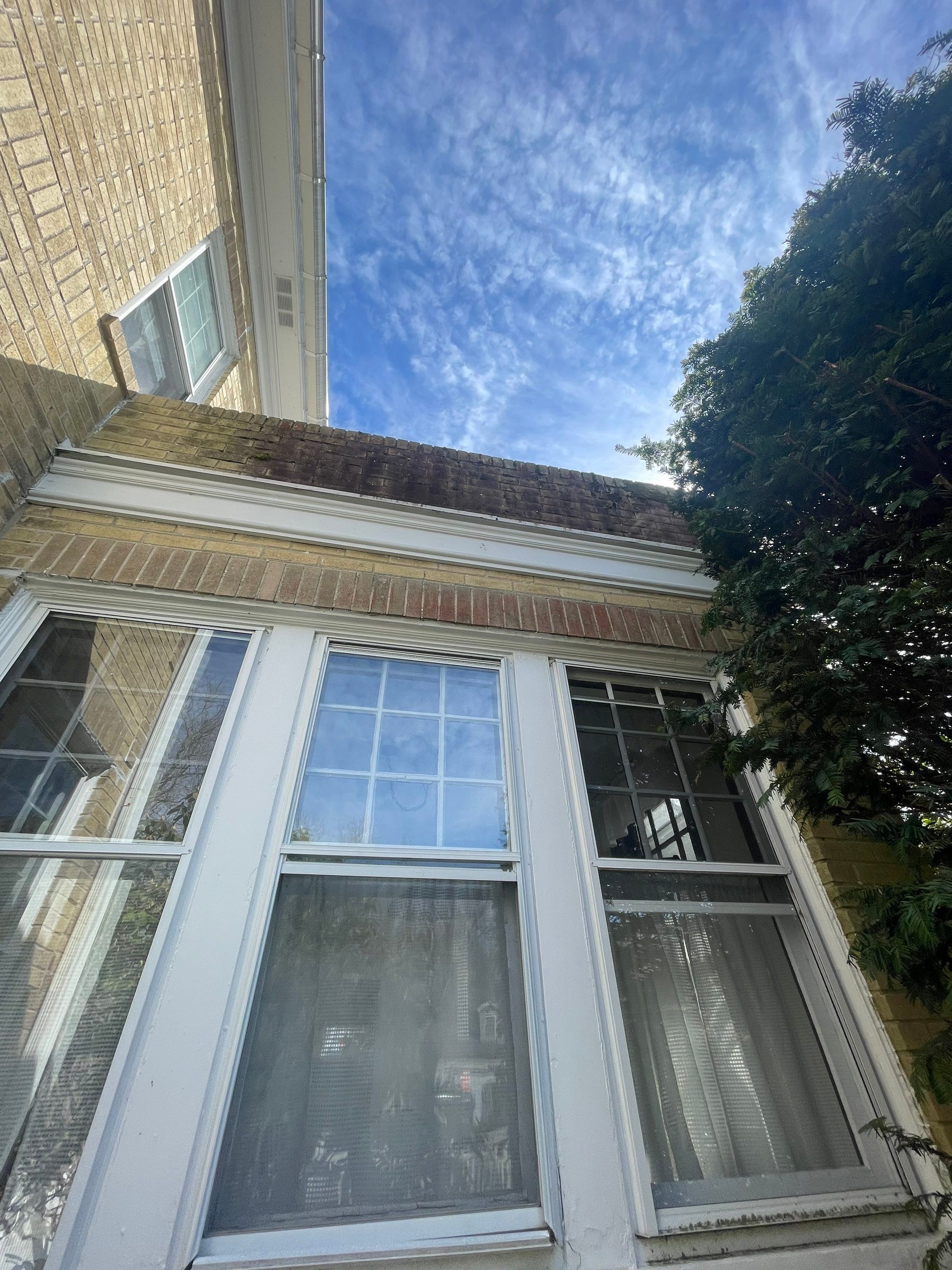 House, Pool & Rear Patio, Garage & Fence by SJ Exterior