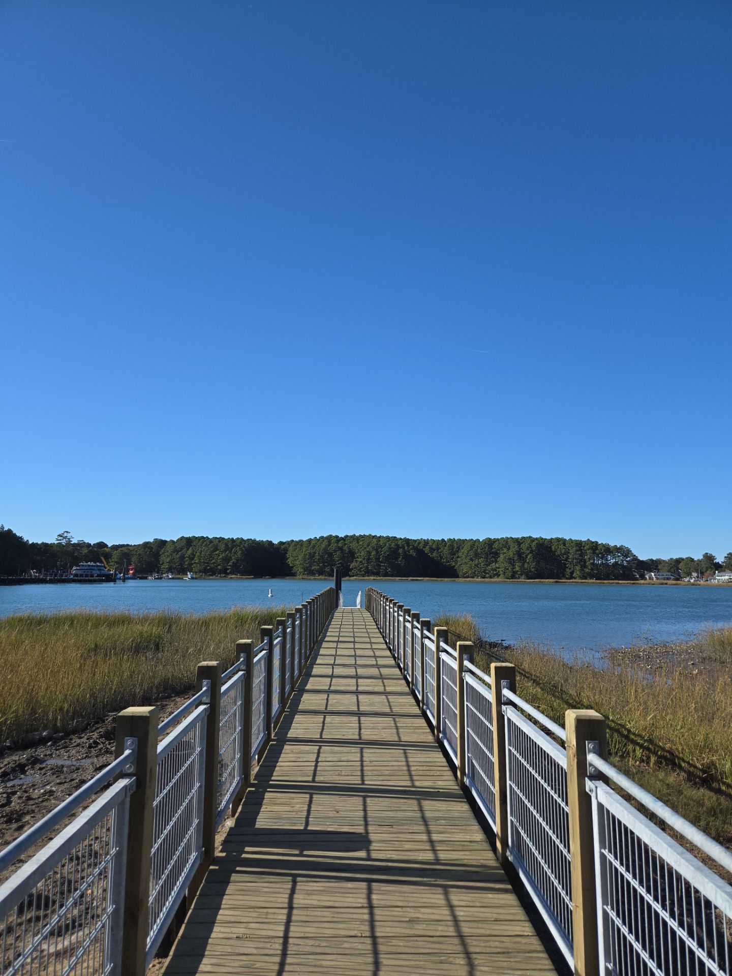 Project in Virginia Beach by Gregory Sandstrom