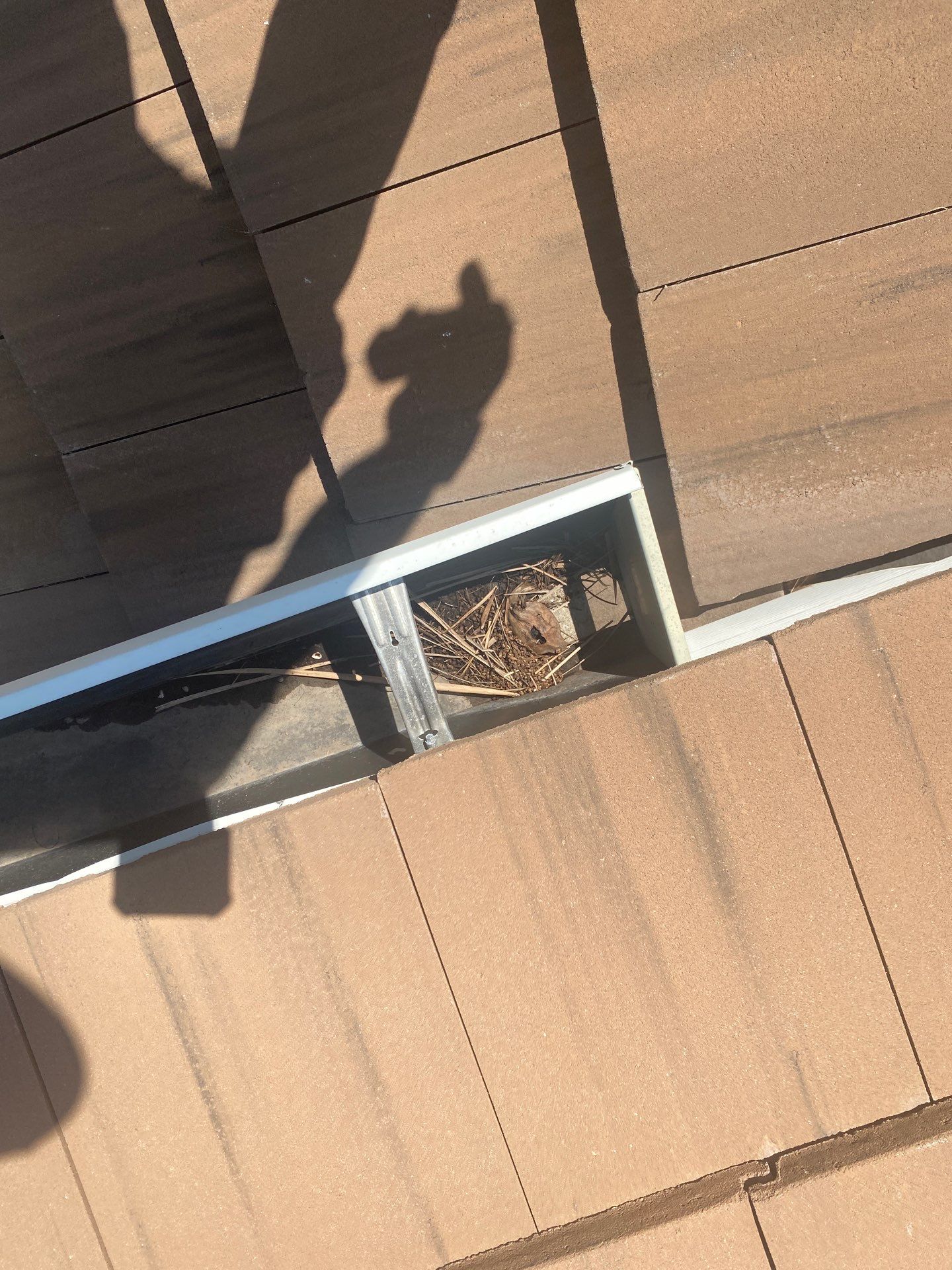 Gutter Cleaning and Maintenance in Longboat Key FL by Gutter Professors