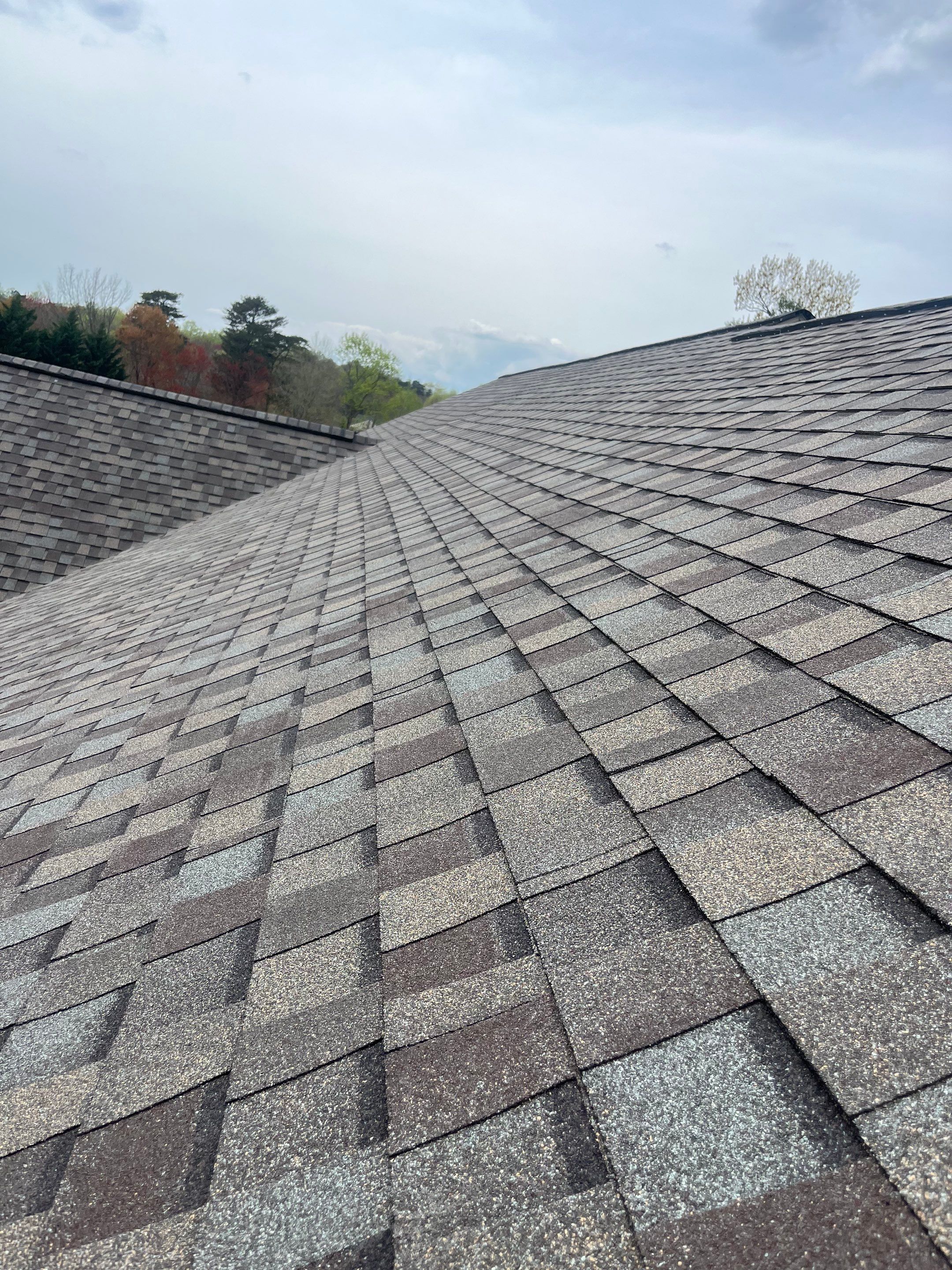 Burke: CertainTeed Landmark Pro Designer Shingles in Max Def Weathered Wood by RM Banning, Inc.