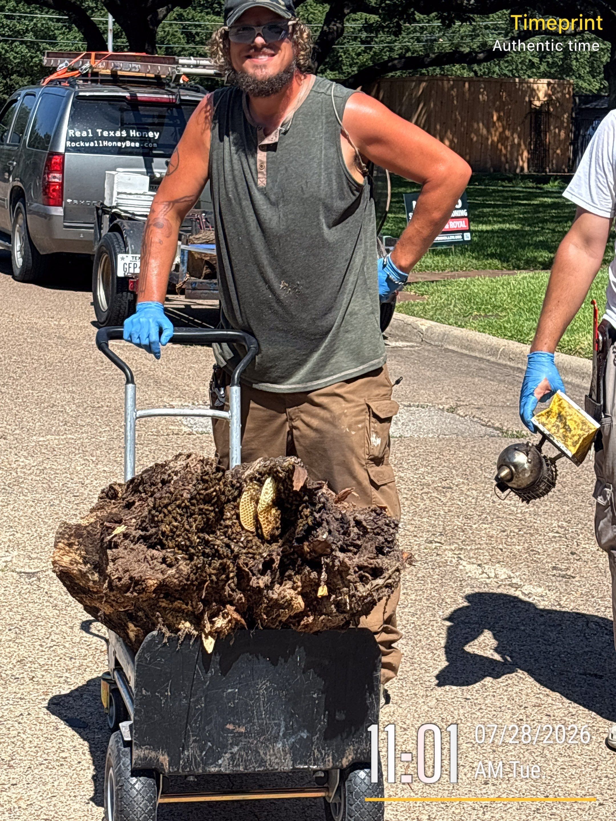 Warranted Removal by Rockwall Honey Bee Company