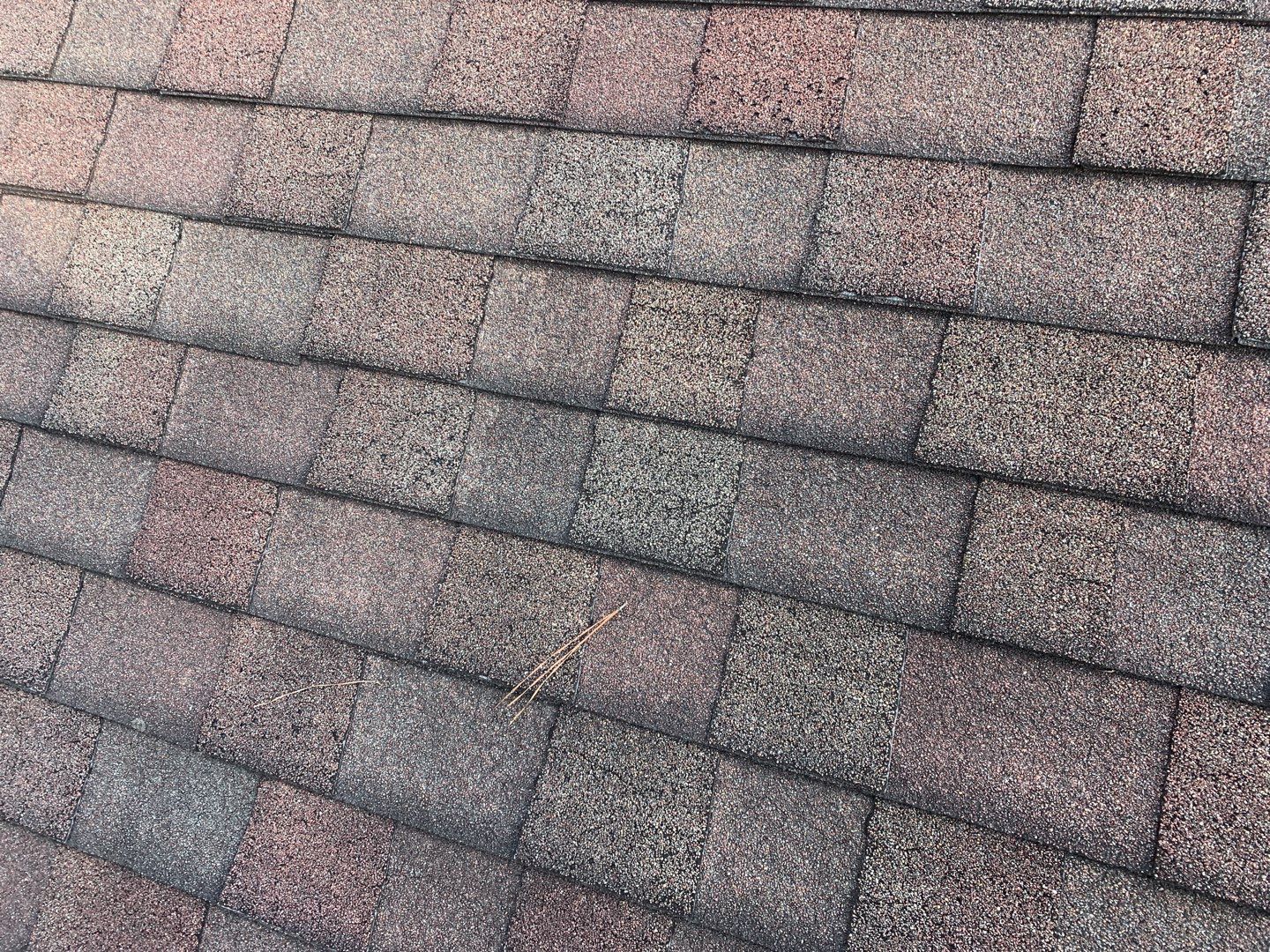 Re Roof by American Roofing NC