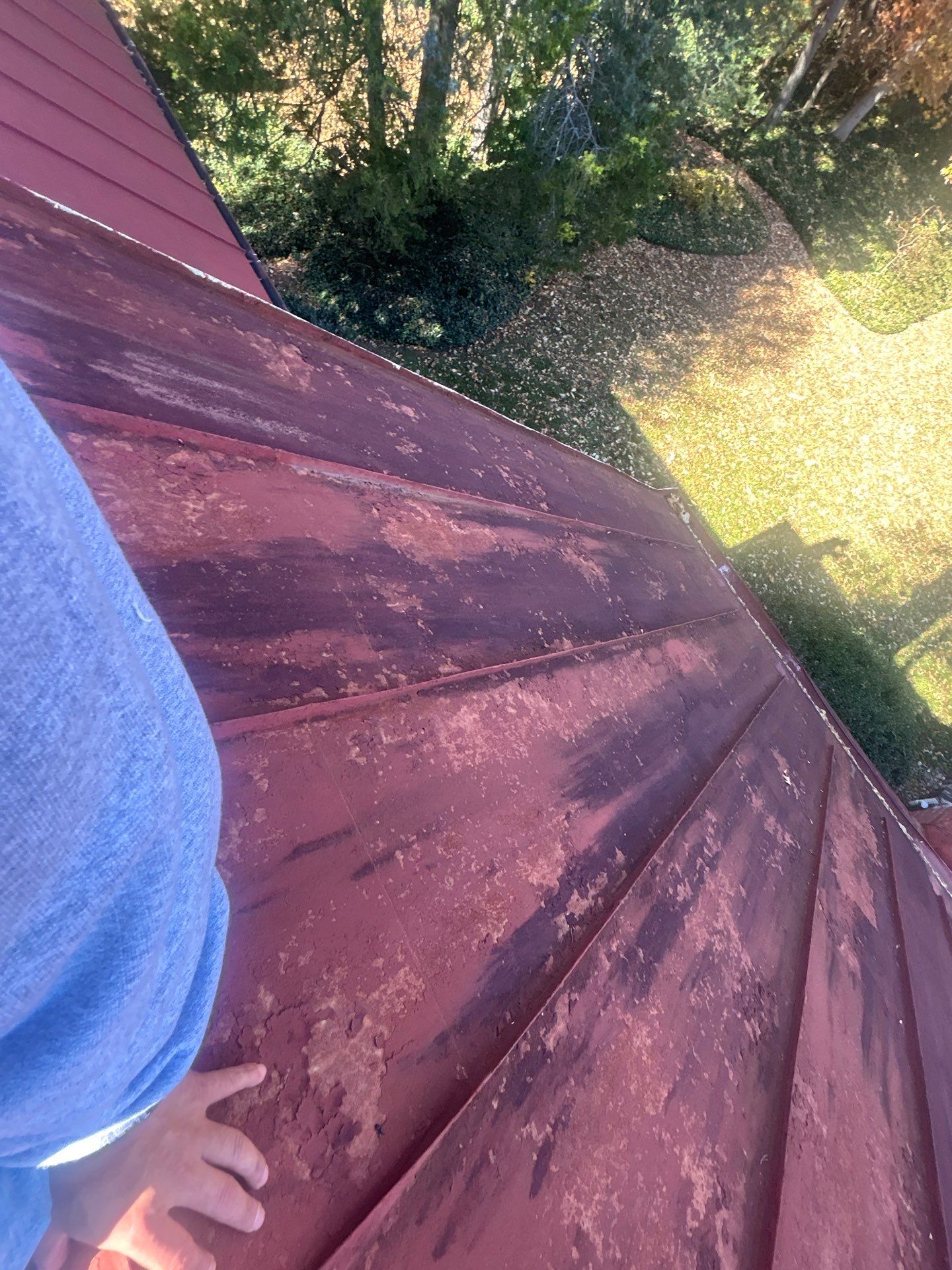 Alexandra: Residential Metal Roofing  by RM Banning, Inc.