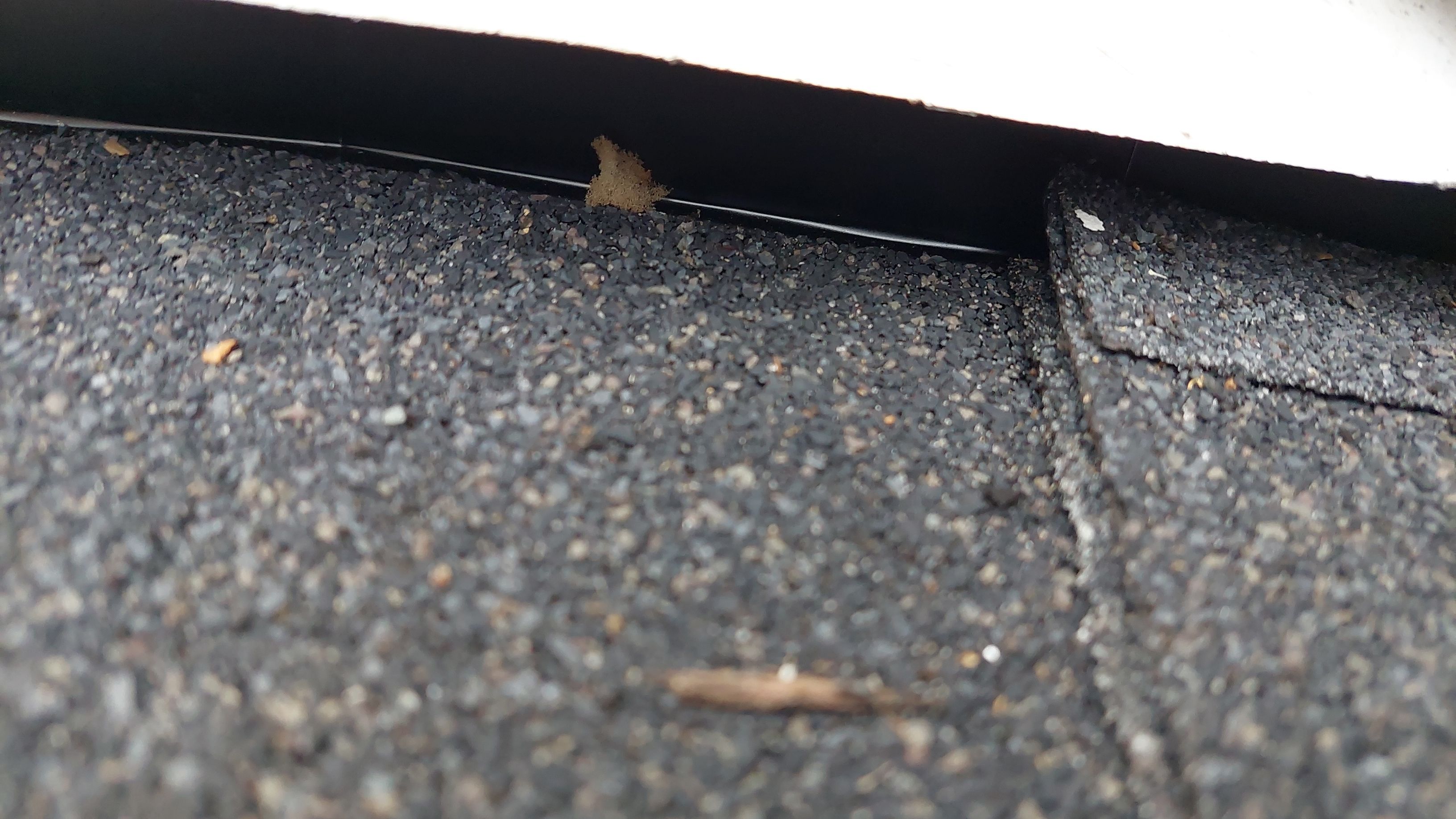 Liberty Township - Pristine Black by Tamlin Roofing