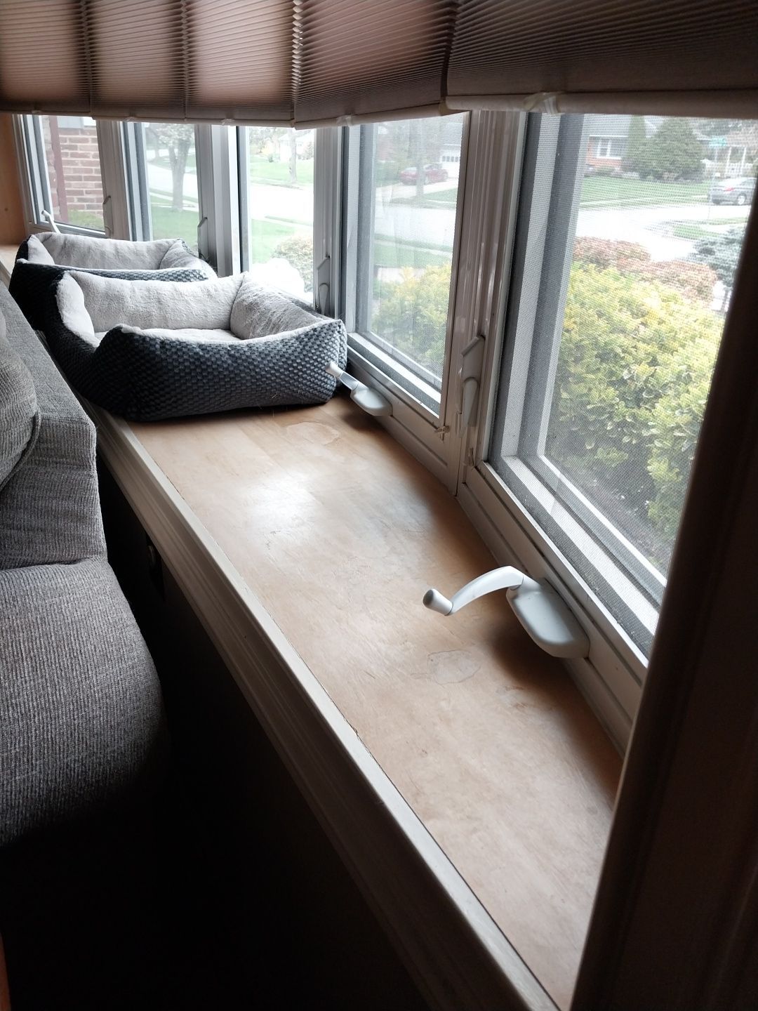 Window Repair using Sherwin Williams Emerald  by Laser Focused Solutions LLC