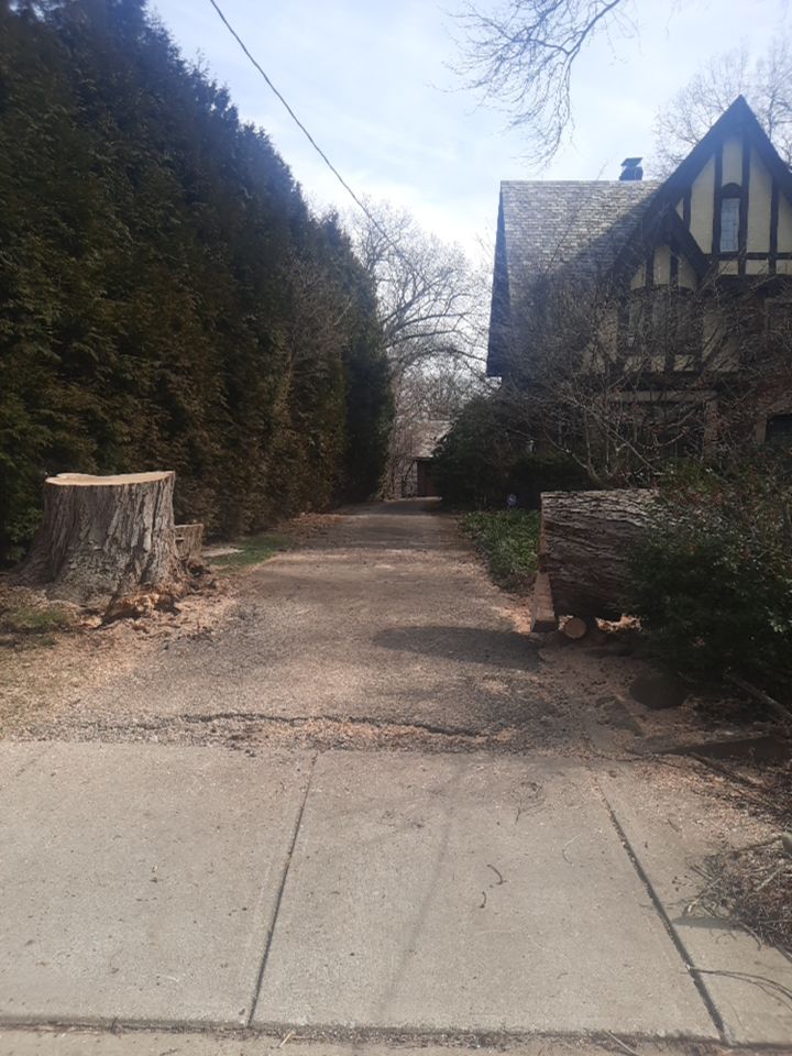 Tree Removal using Tree Removal by Mike Jones & Sons Tree Service LLC 