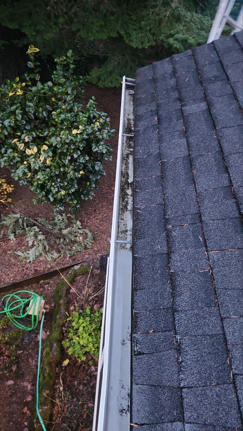 Driveway Repair using Pressure washing no chemicals by Willamette Outdoor Wash LLC