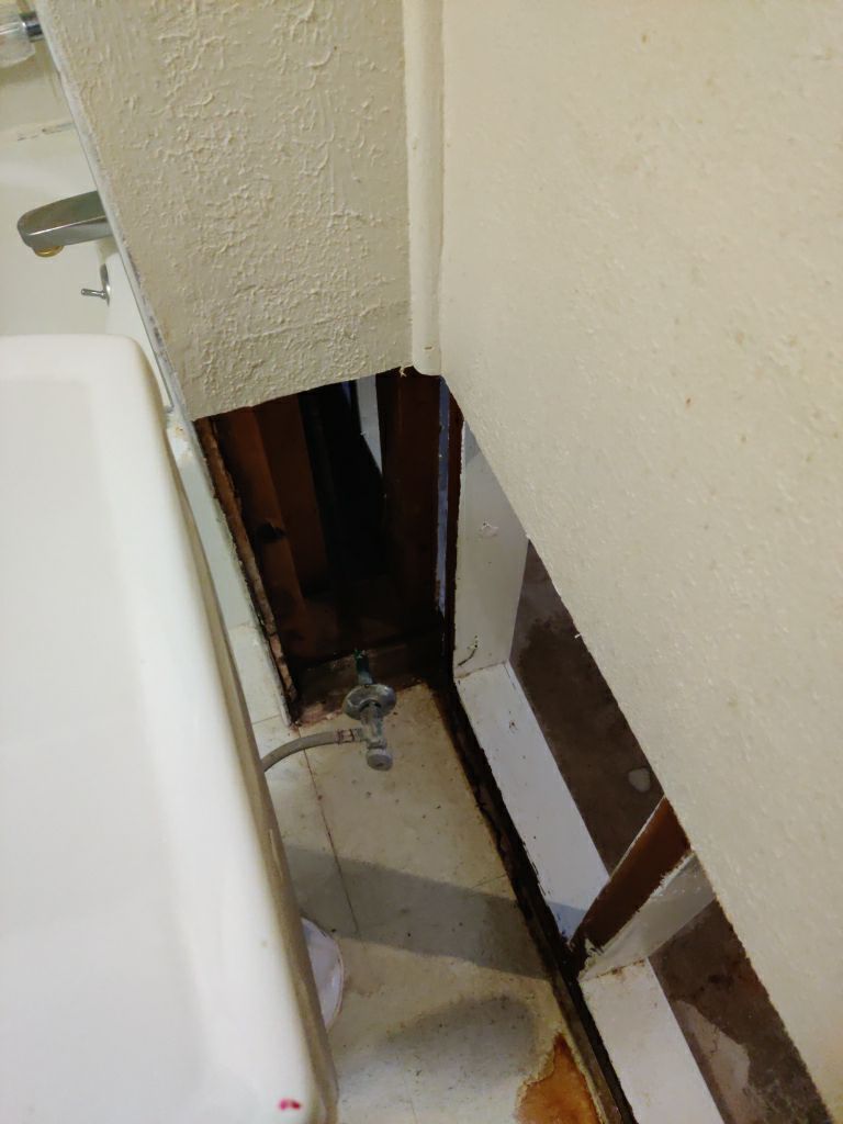 Mold Remediation in Basement by Accountable Home Services