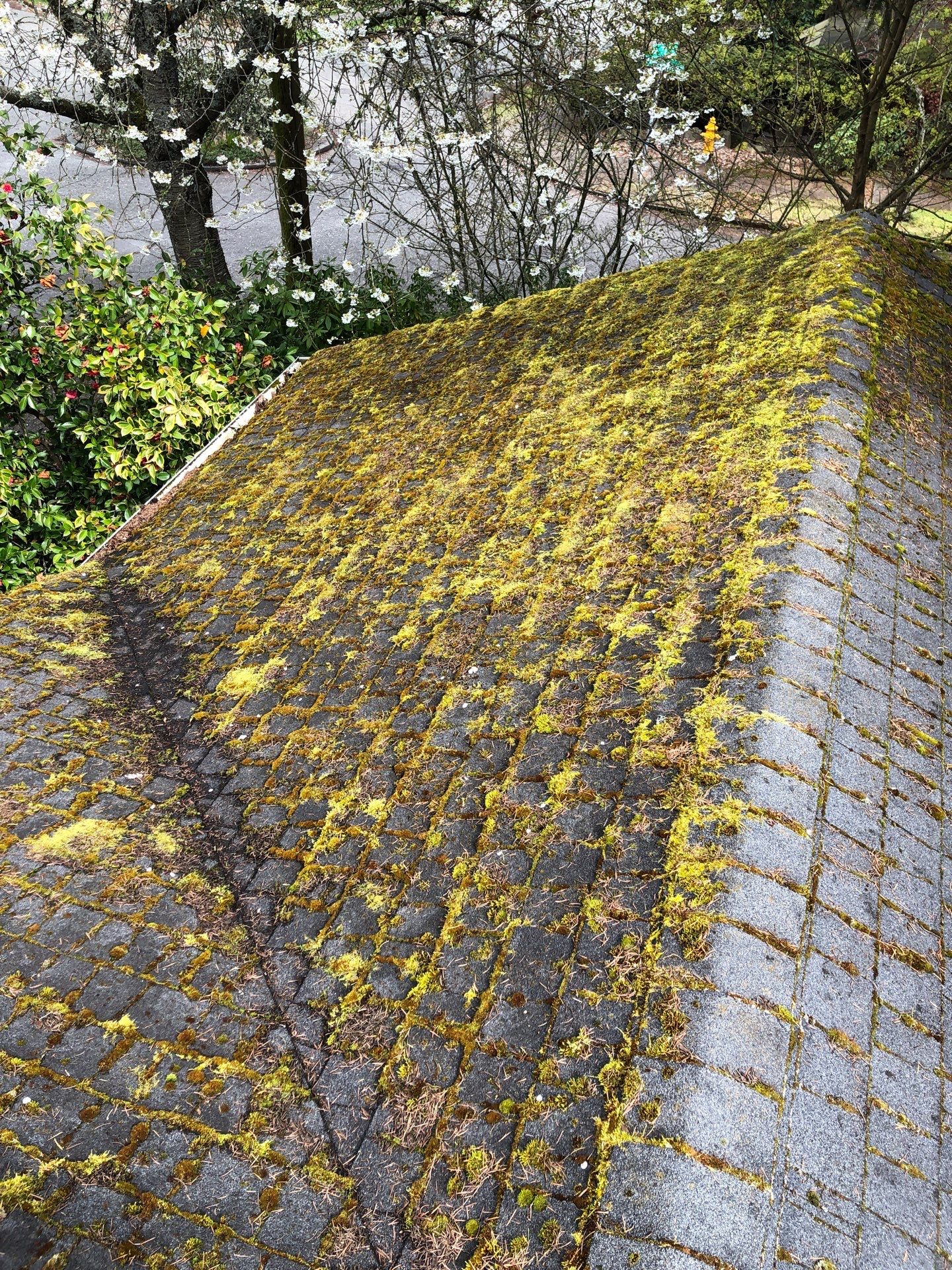 Project in Seattle by Connolly Construction Company