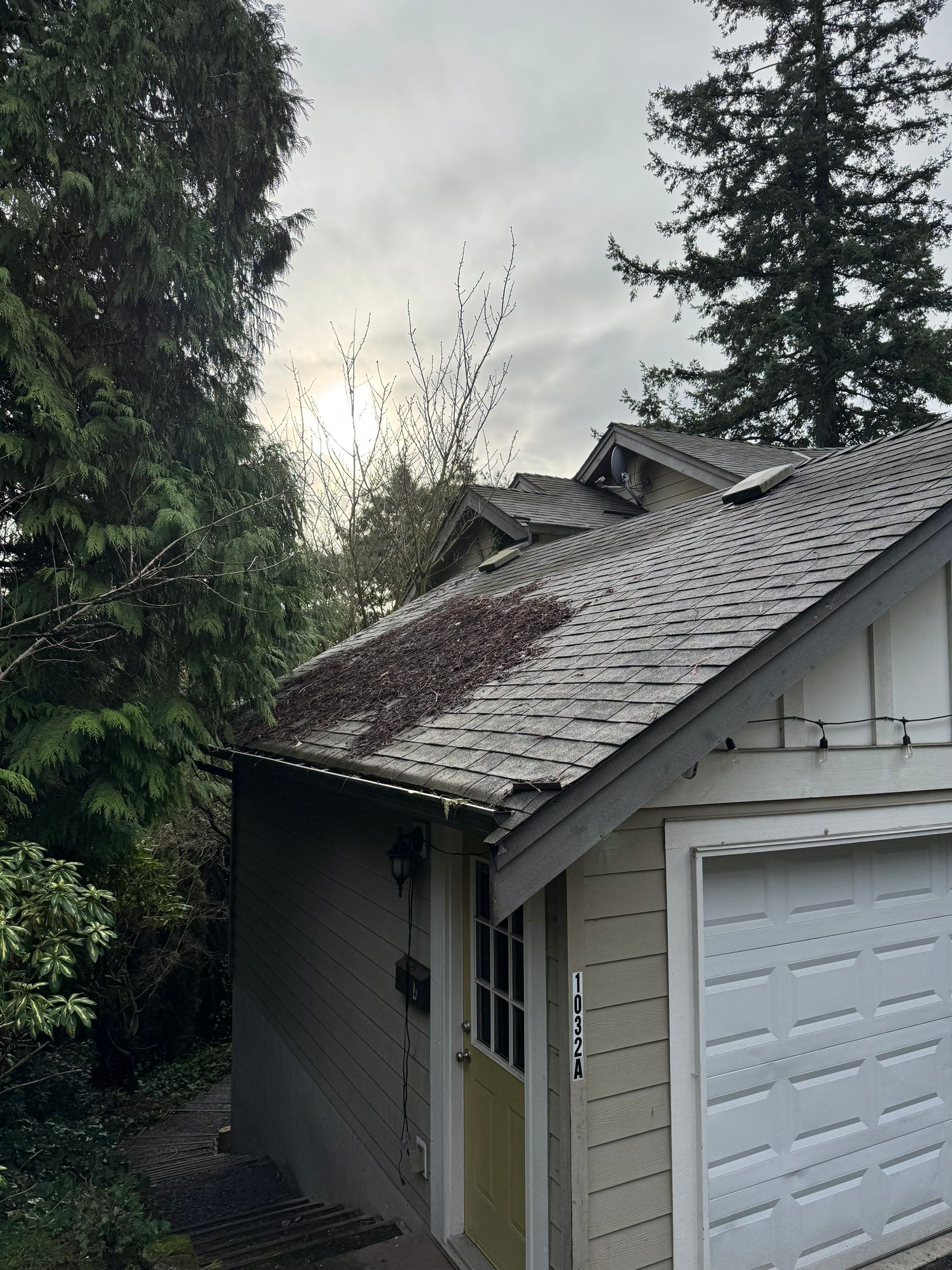 Gutter Cleaning by YVR Construction Group