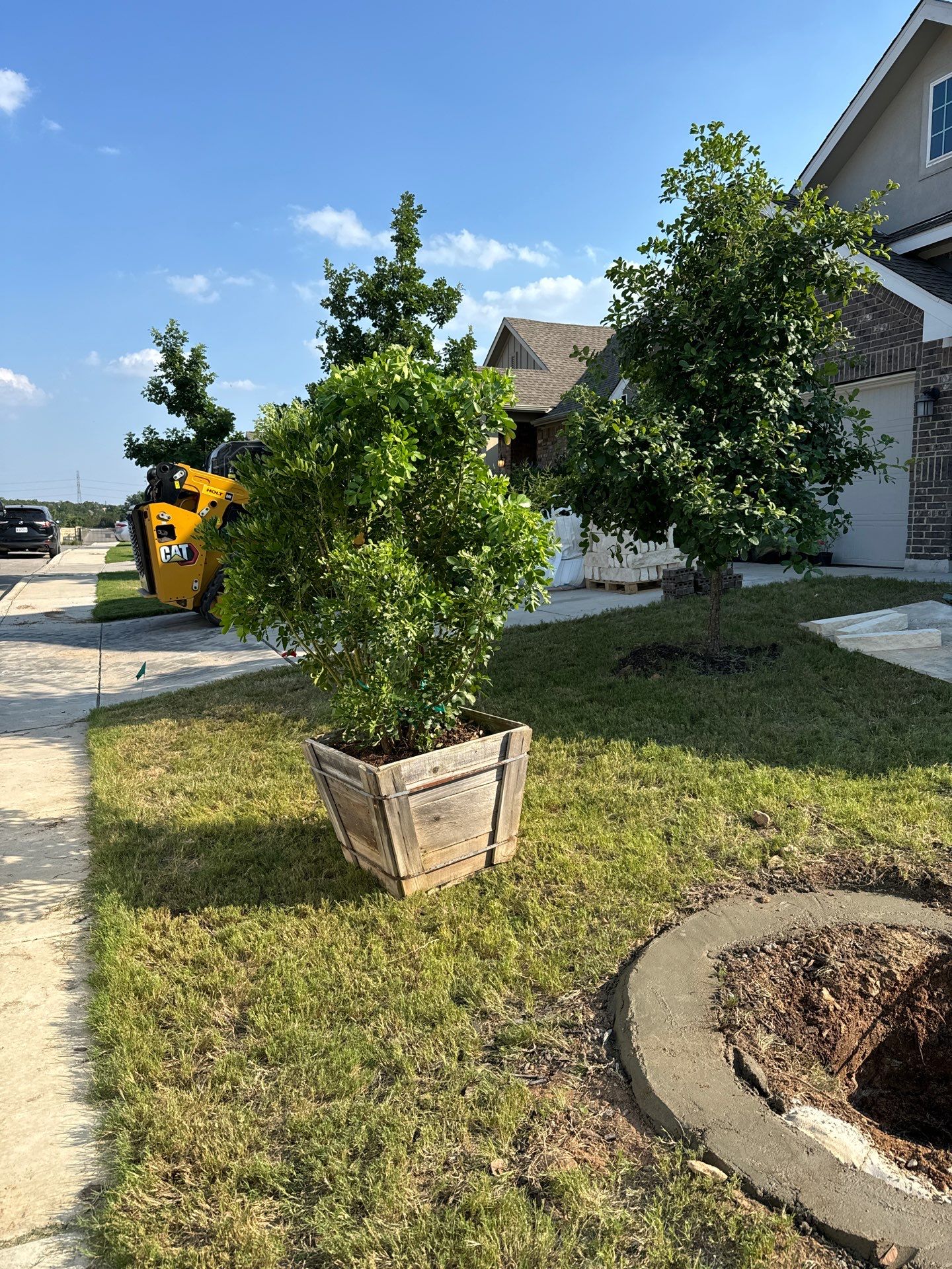 Wortham Oaks - San Antonio, TX by Hole In One Lawns, LLC