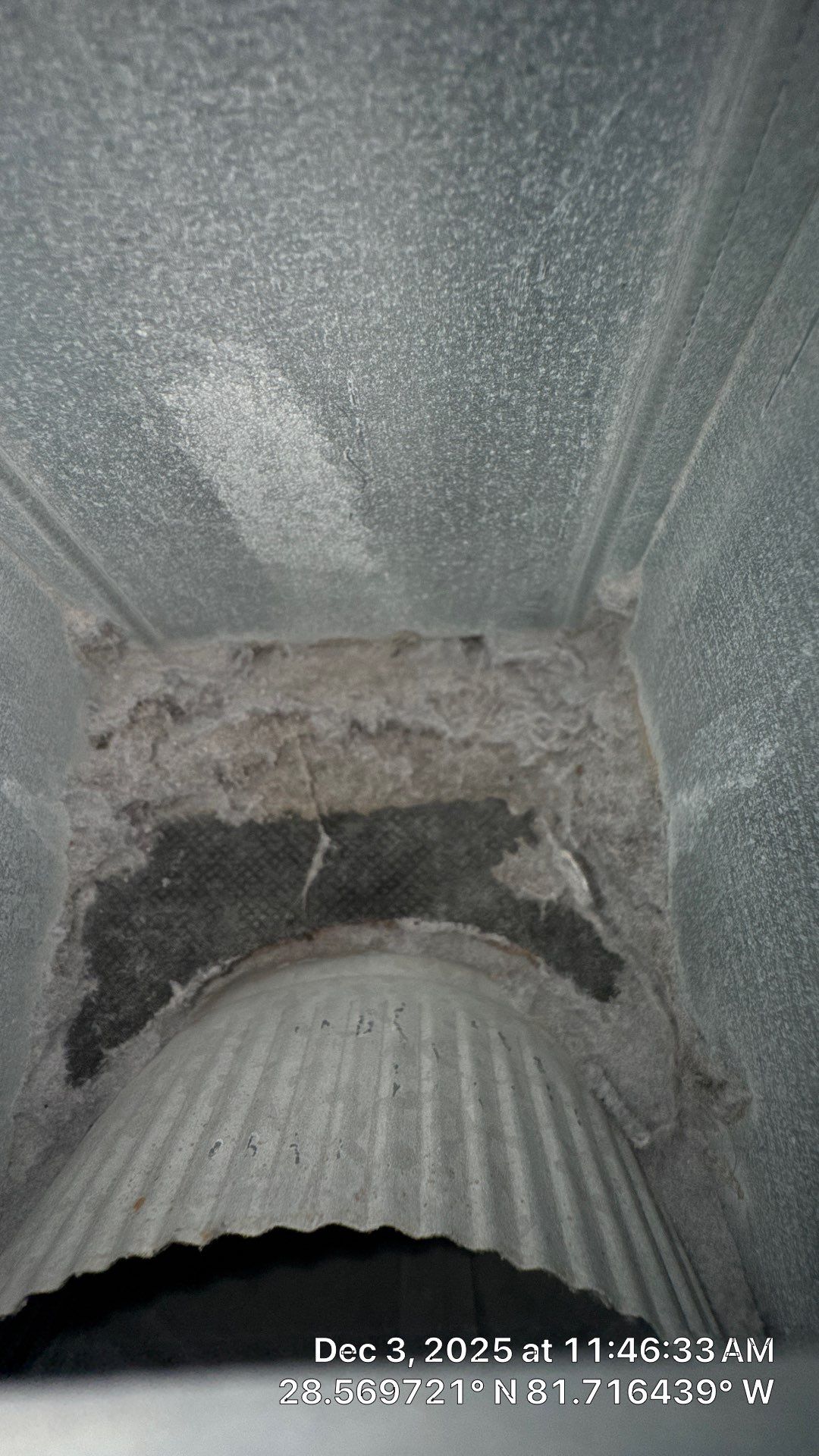Air Duct and Dryer Vent Cleaning Dryer Vent Repair in Clermont by Hygienic Air, Inc