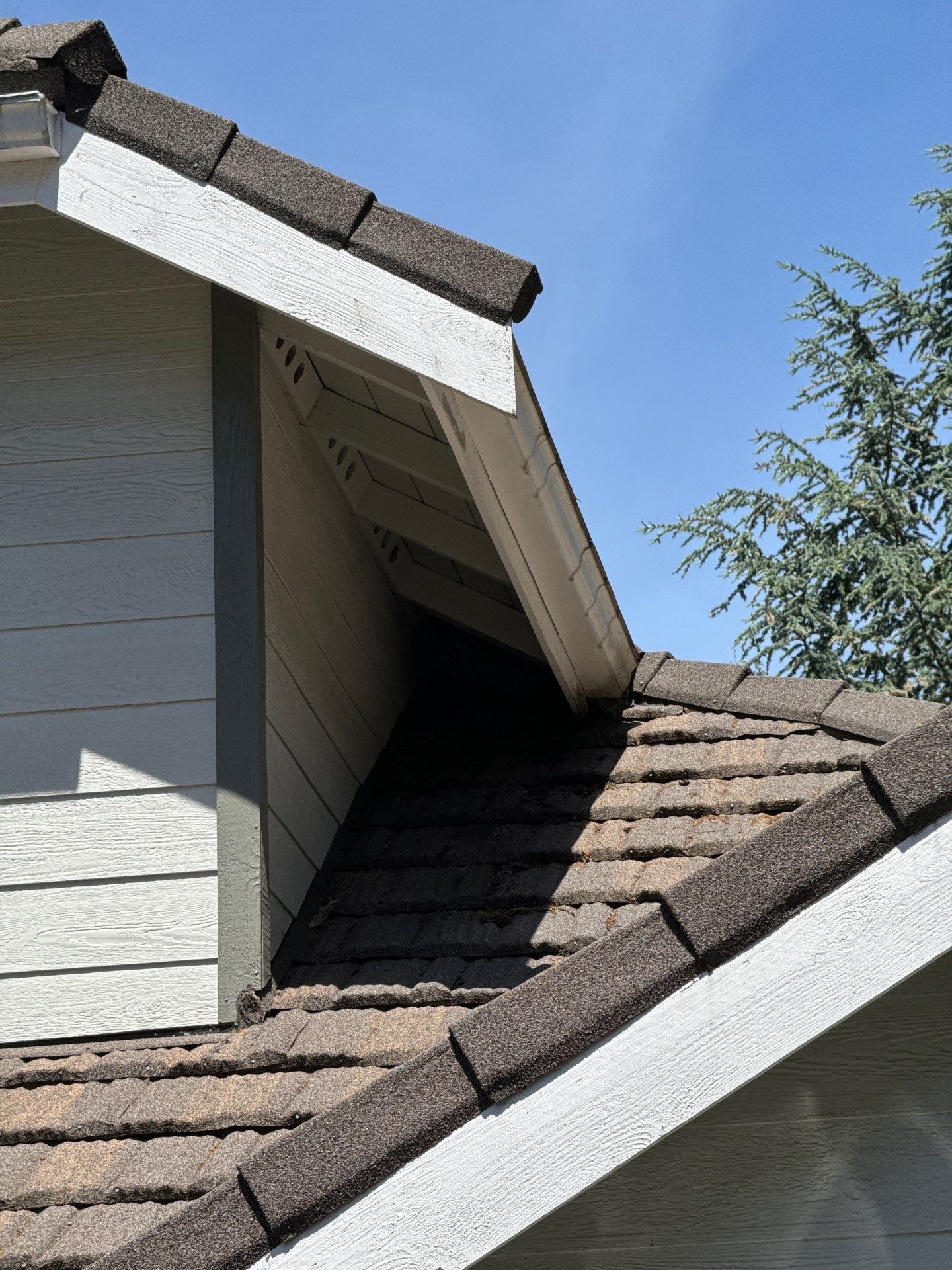 Project in Brier by Peaks and Valleys Construction