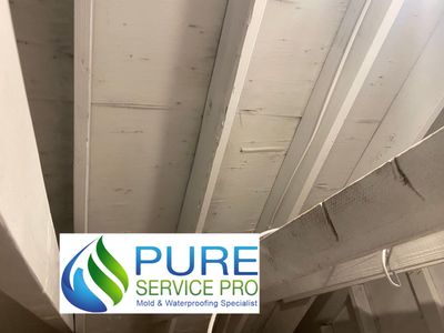 Attic Mold Remediation Job in Vernon Township, NJ