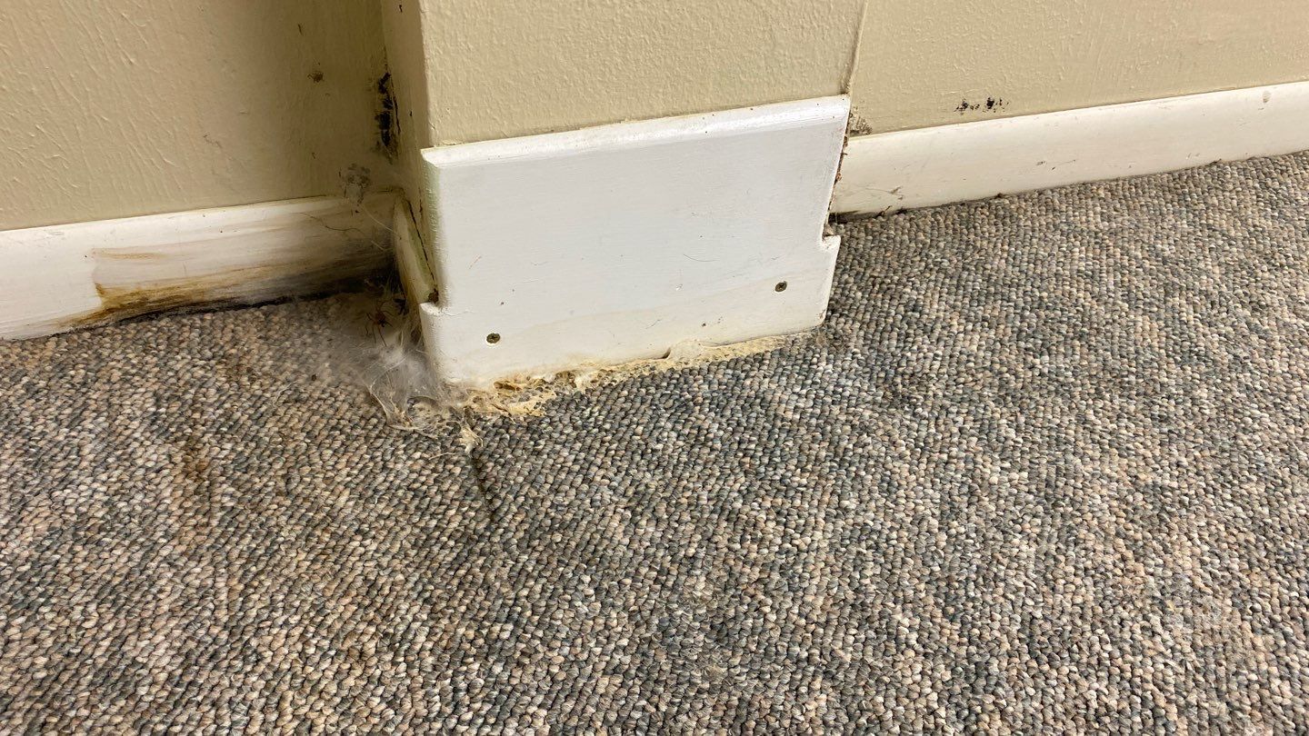 Water Damage  by Accountable Home Services