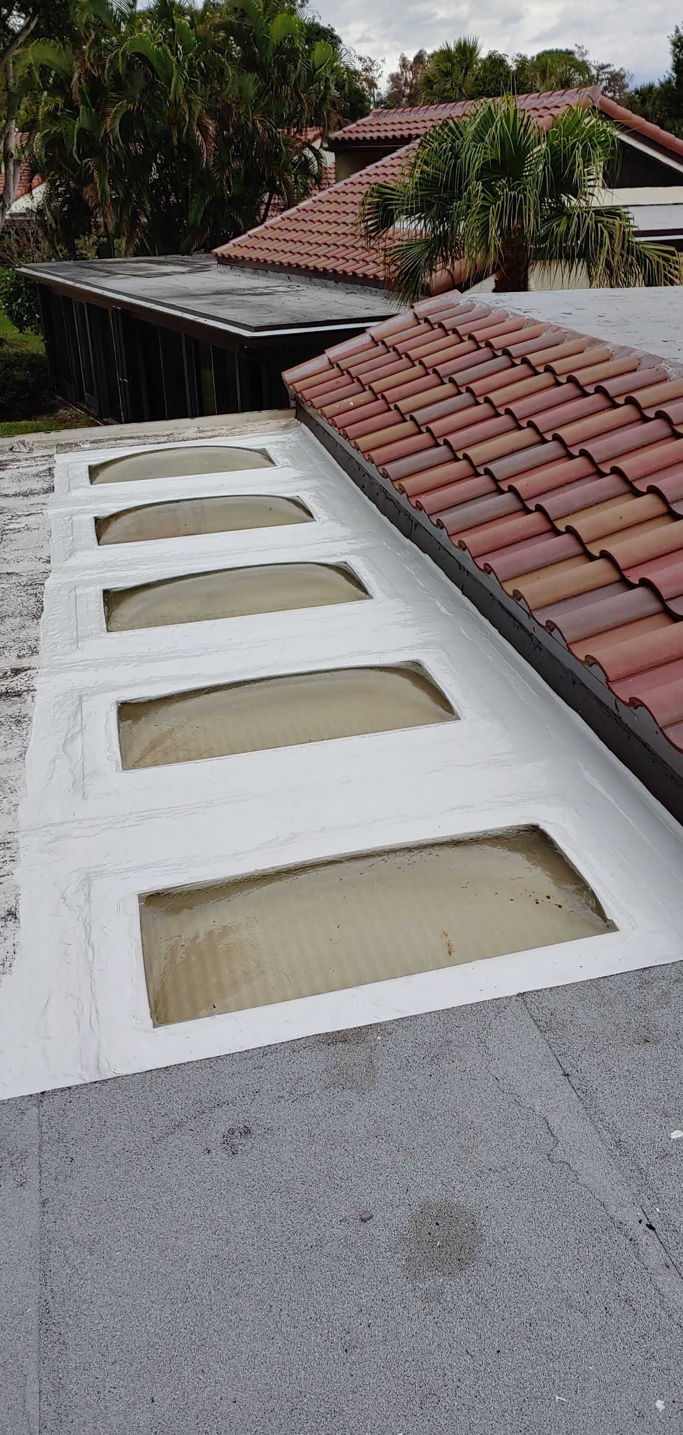 Skylight Repair and Flat Roof Sealant Application in Boca Raton by Aastro Roofing
